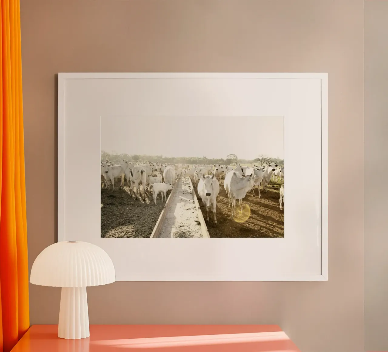 White Cows on Farm poster da KISSA STUDIO