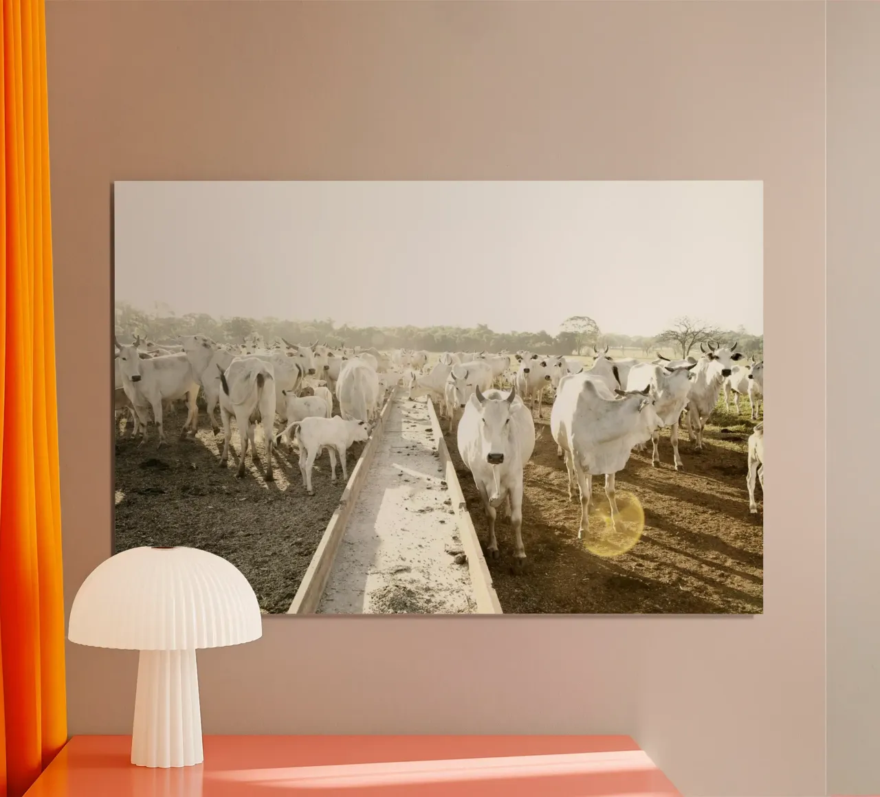 White Cows on Farm poster da KISSA STUDIO