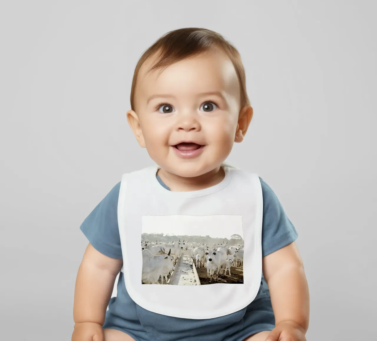 Mucche bianche in fattoria bavaglino da KISSA STUDIO