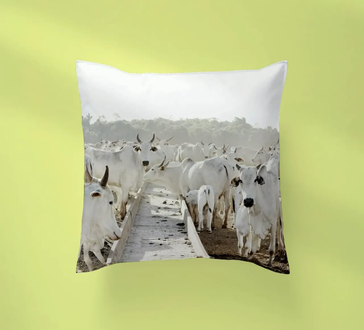 Mucche bianche in fattoria cuscino da KISSA STUDIO