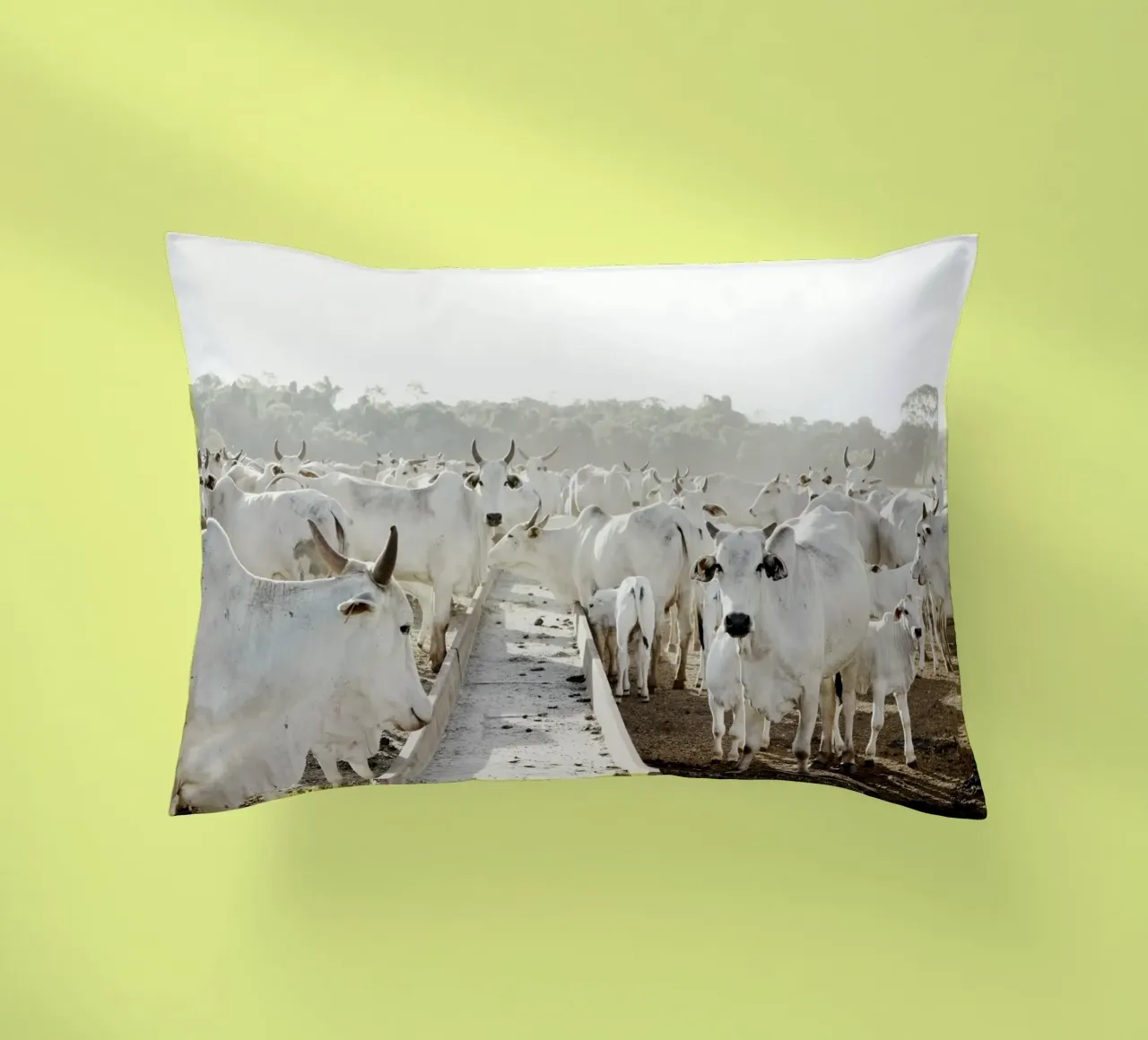 Mucche bianche in fattoria cuscino da KISSA STUDIO