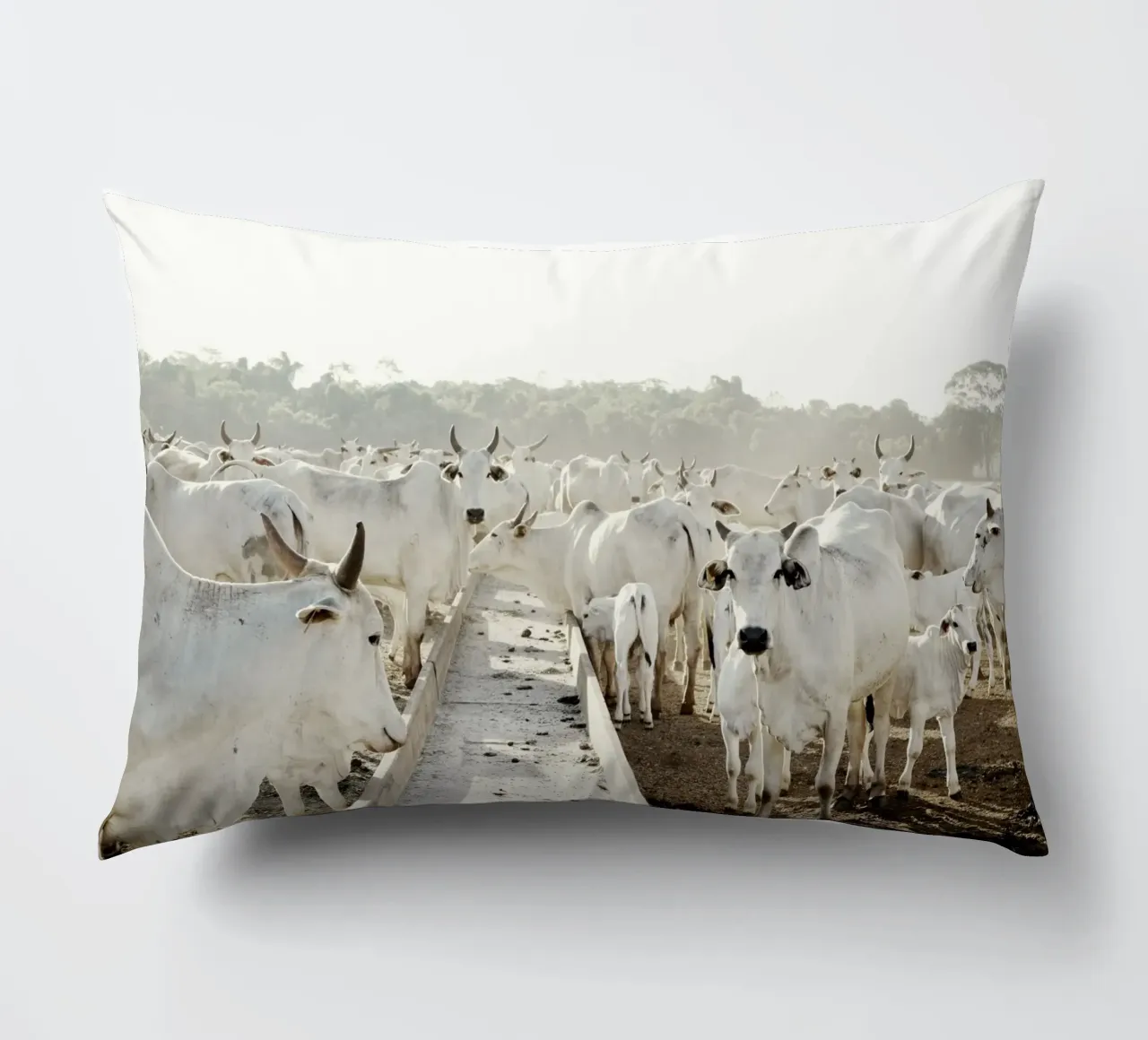 Mucche bianche in fattoria cuscino da KISSA STUDIO
