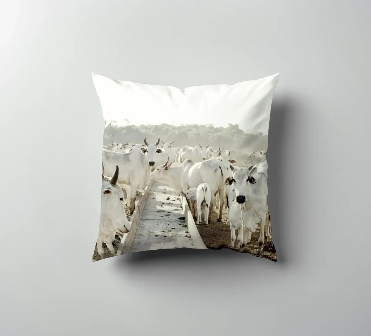Mucche bianche in fattoria cuscino da KISSA STUDIO