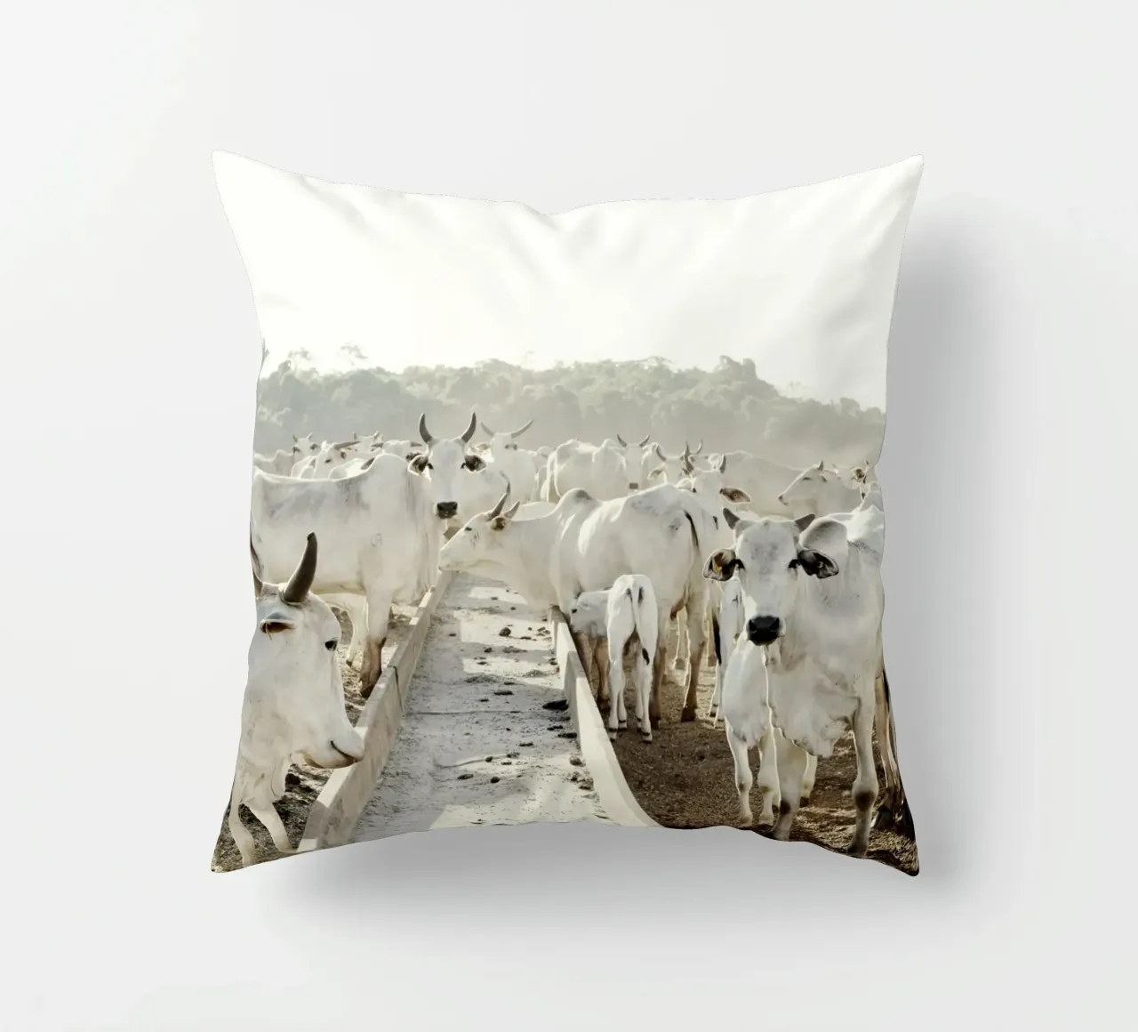 Mucche bianche in fattoria cuscino da KISSA STUDIO
