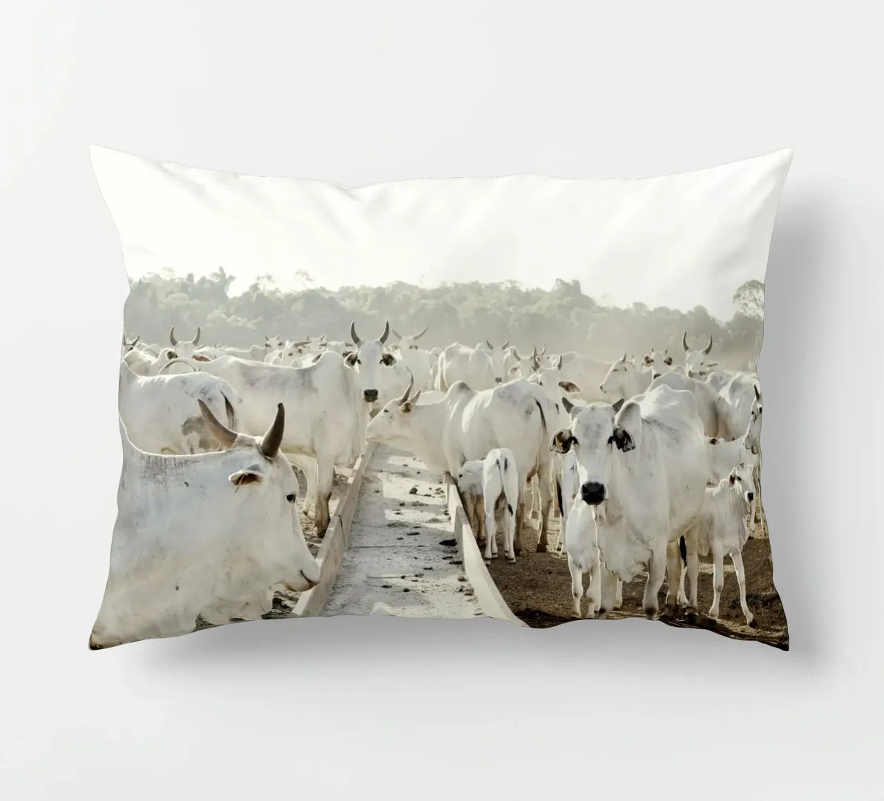Mucche bianche in fattoria cuscino da KISSA STUDIO