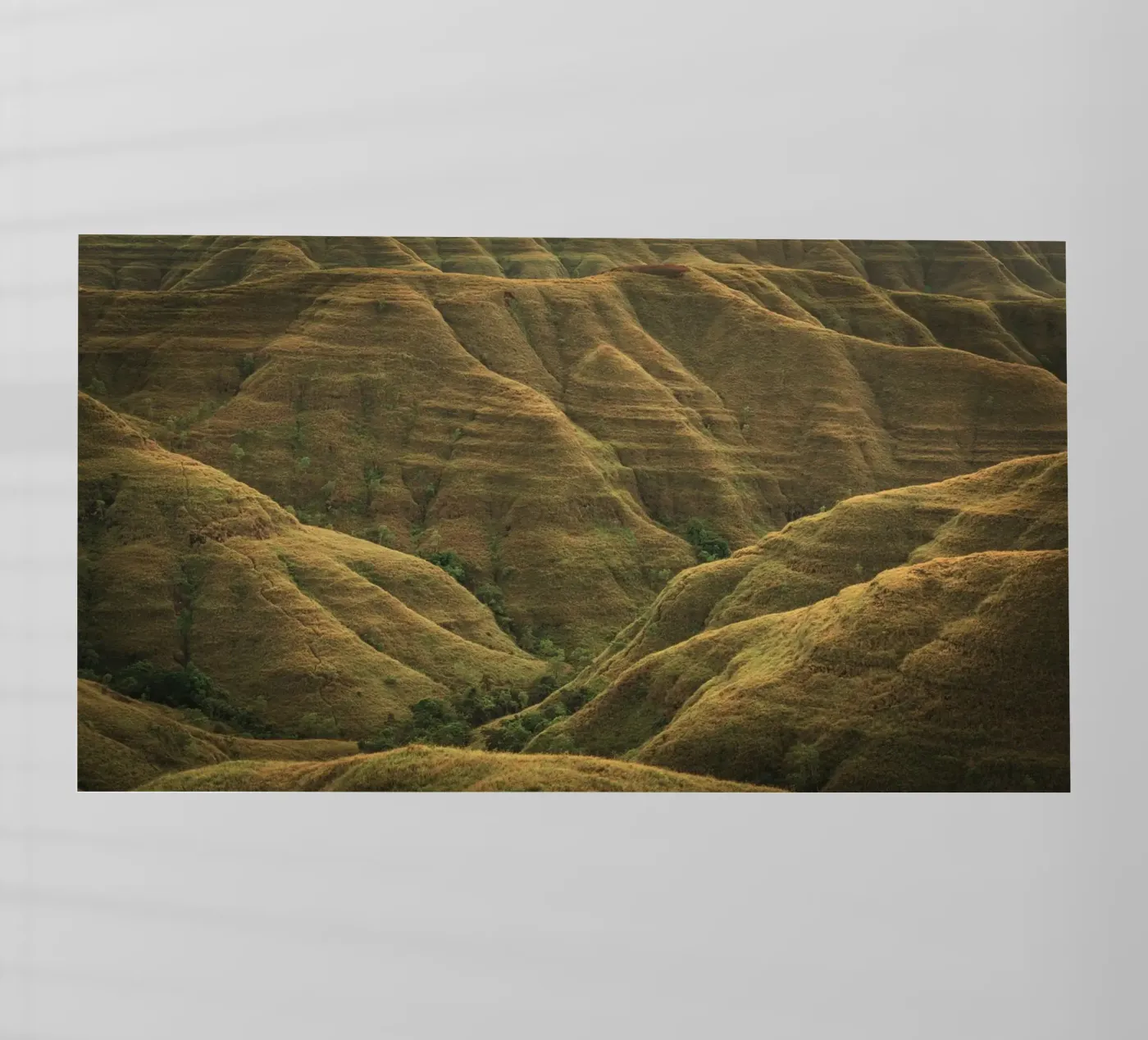 colline ondulate pellicola backlit da Earthly Visions