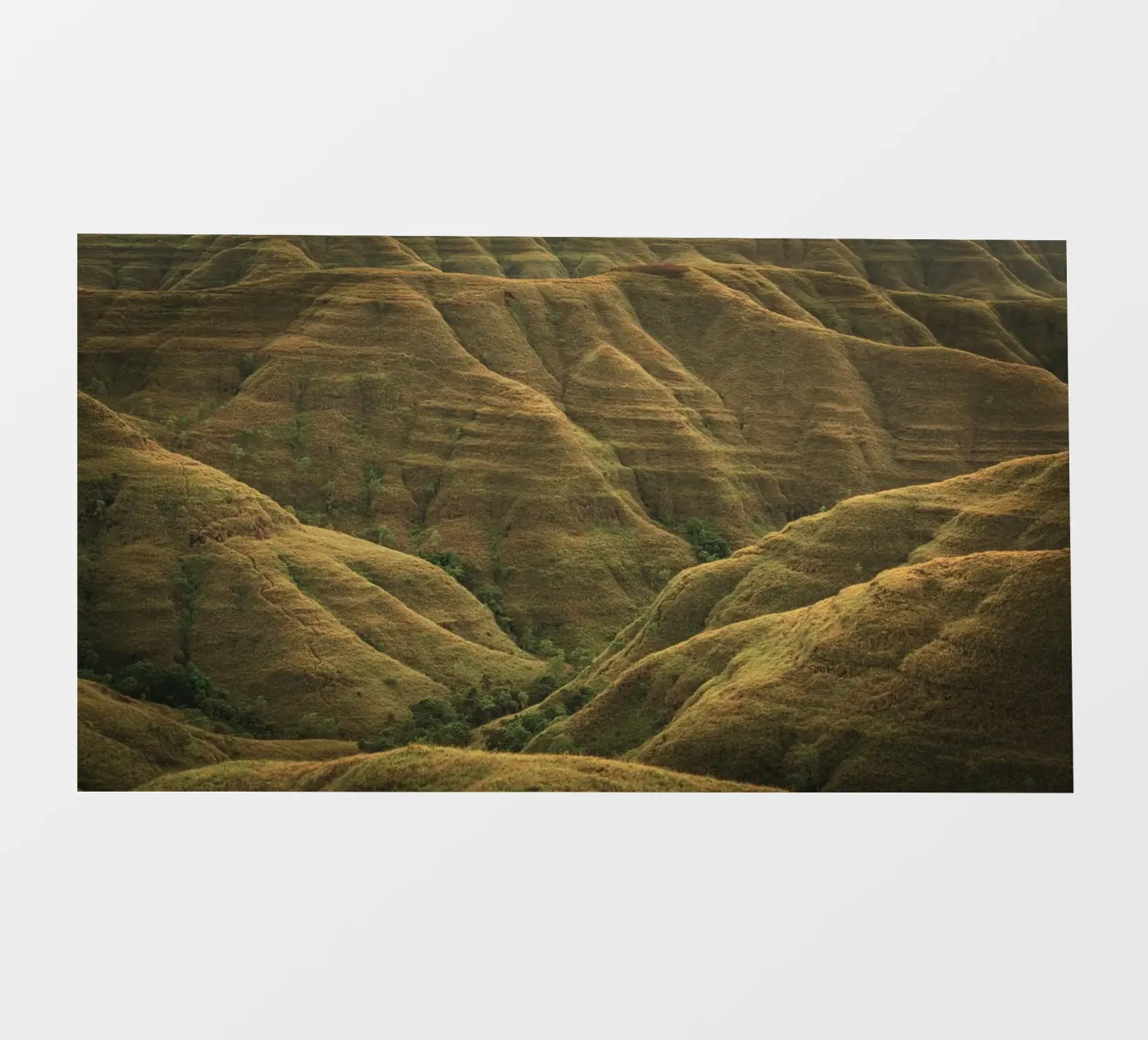 colline ondulate pellicola backlit da Earthly Visions