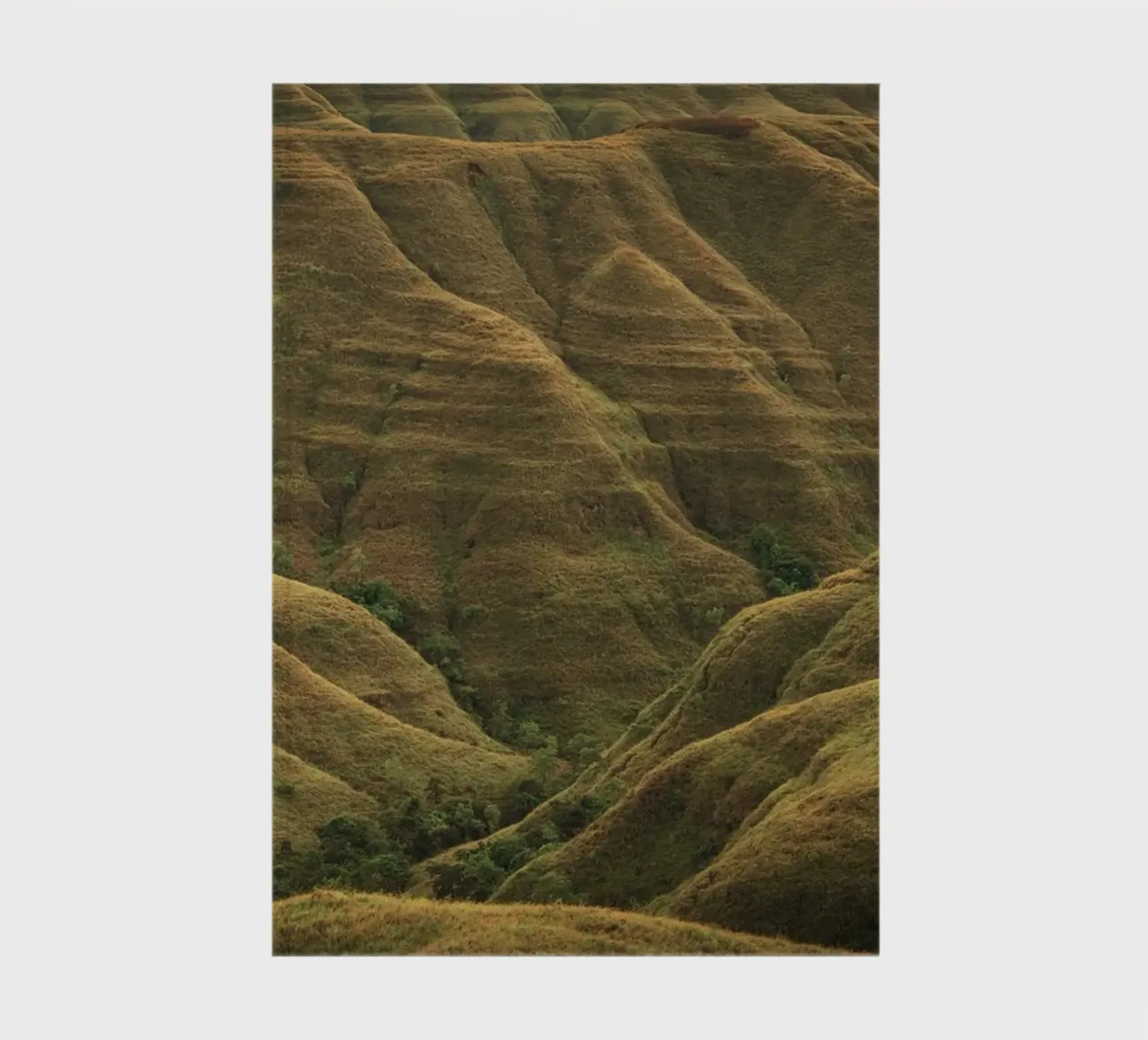 colline ondulate diario da Earthly Visions