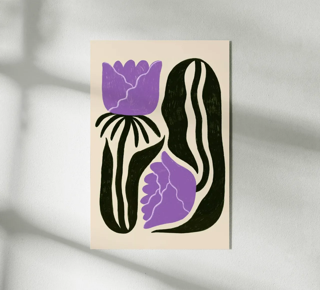 Carnation Combination plexiglass da Pure