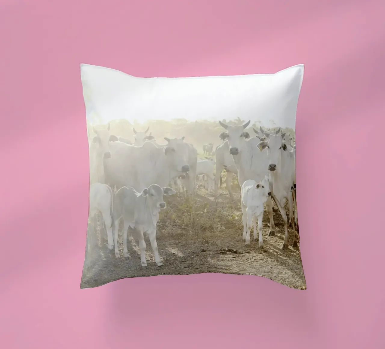 Mucche bianche in fattoria cuscino da KISSA STUDIO