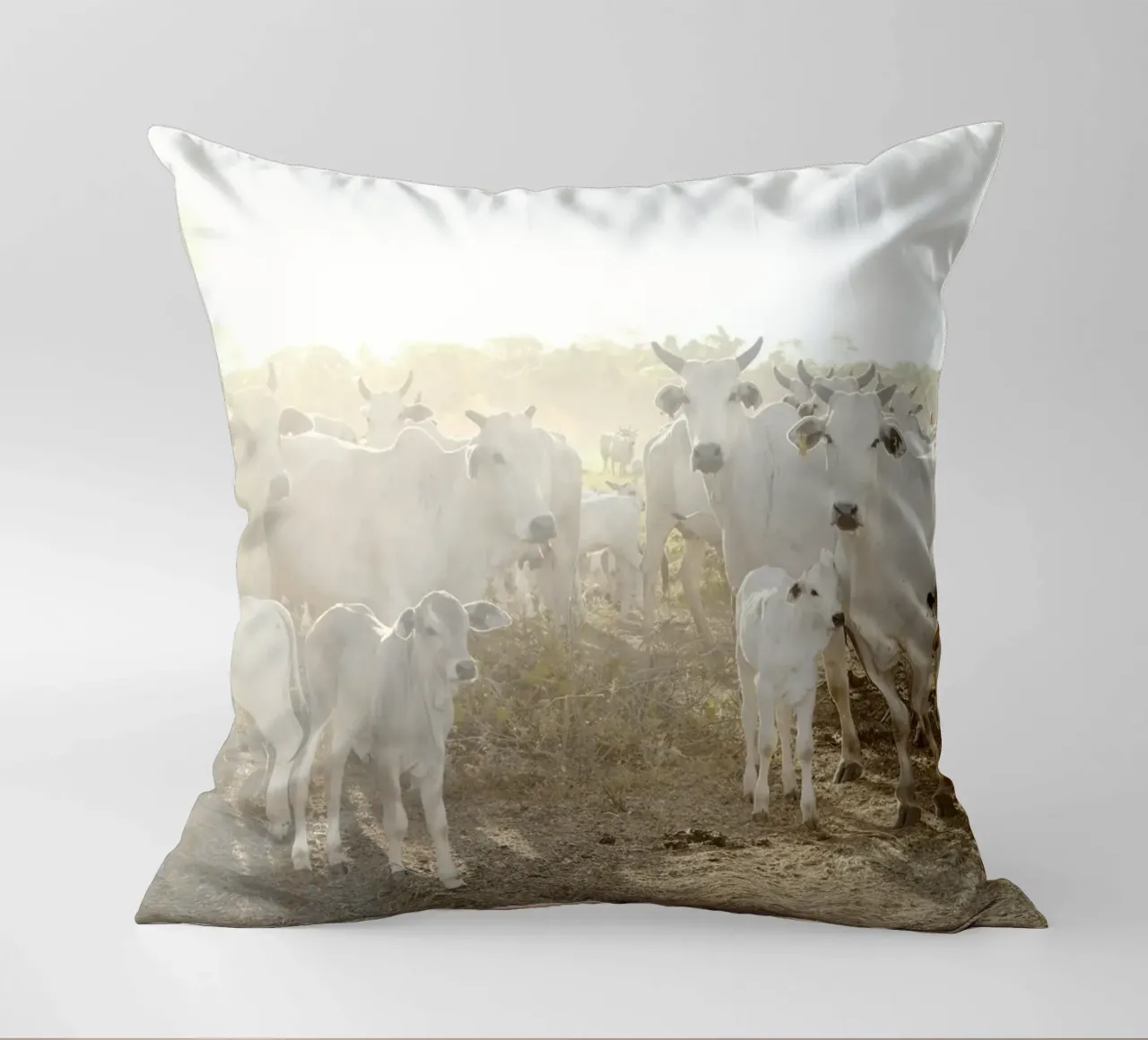 Mucche bianche in fattoria cuscino da KISSA STUDIO