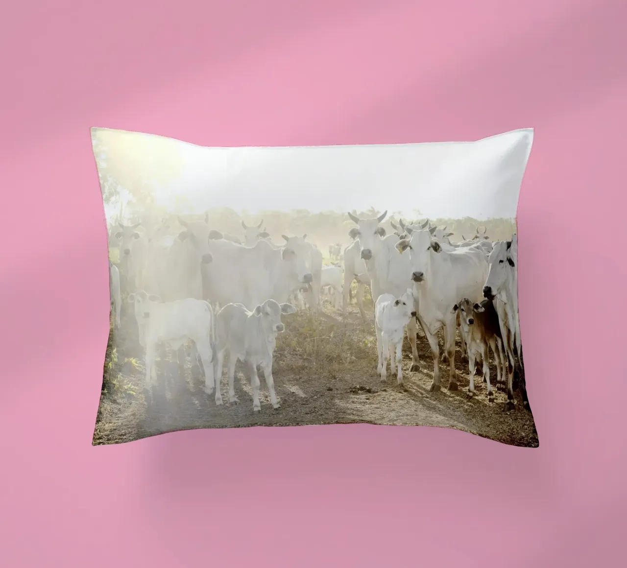 Mucche bianche in fattoria cuscino da KISSA STUDIO