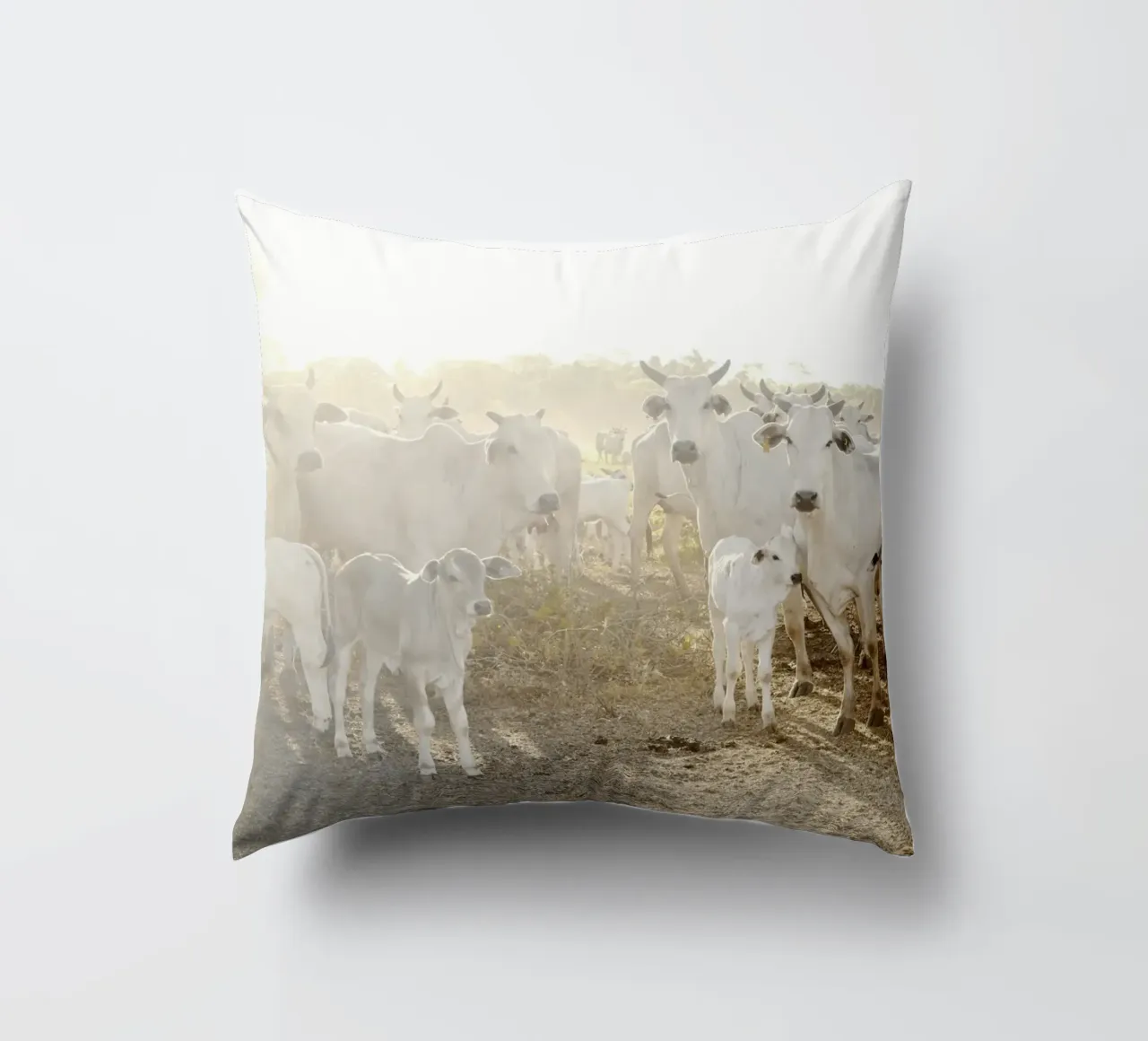 Mucche bianche in fattoria cuscino da KISSA STUDIO