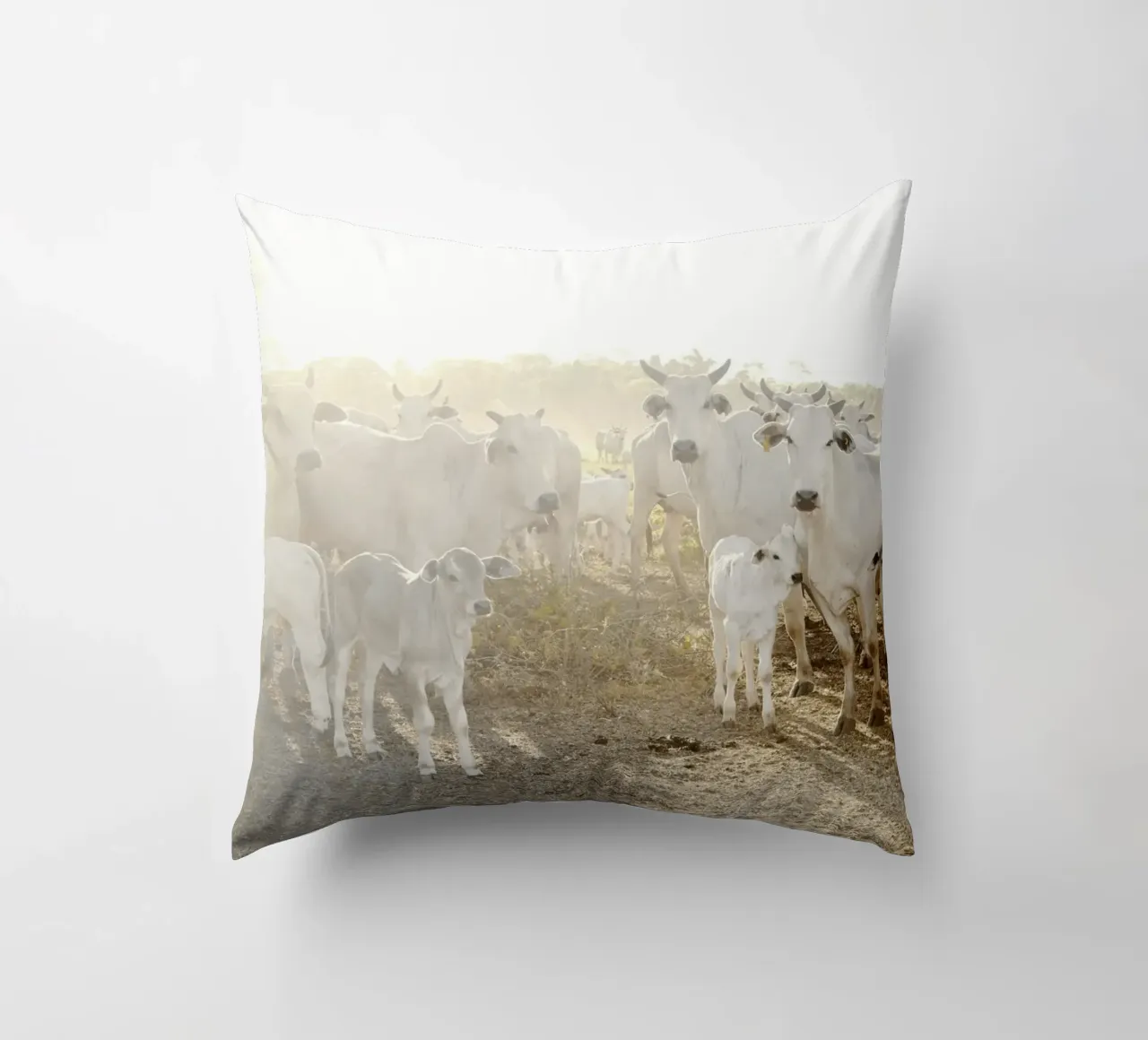 Mucche bianche in fattoria cuscino da KISSA STUDIO