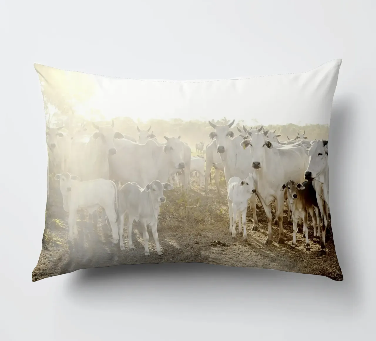 Mucche bianche in fattoria cuscino da KISSA STUDIO