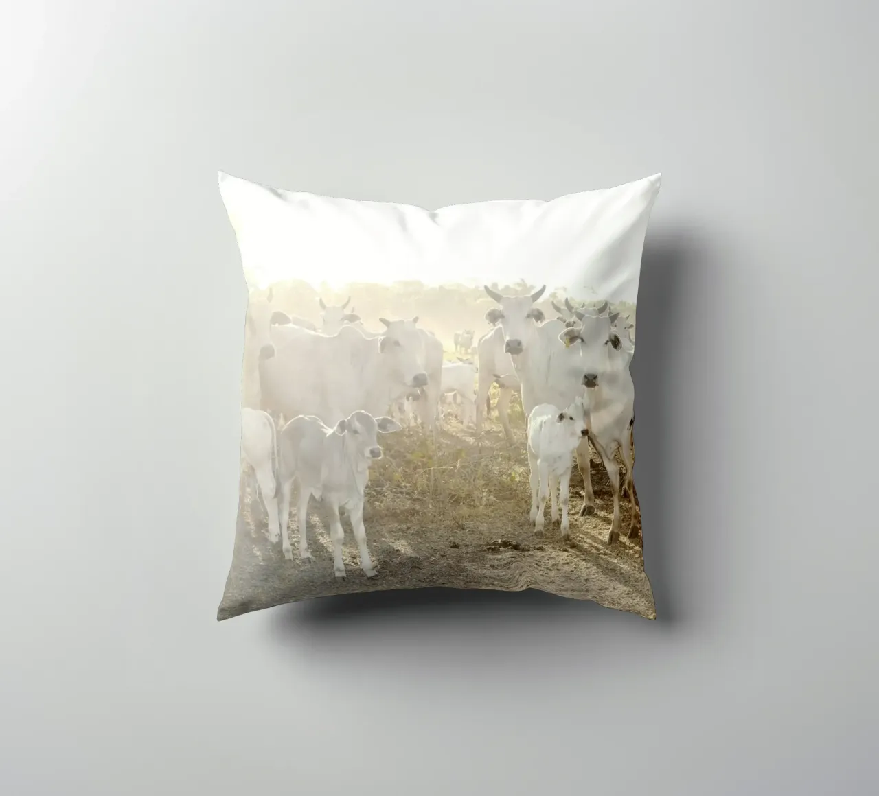 Mucche bianche in fattoria cuscino da KISSA STUDIO