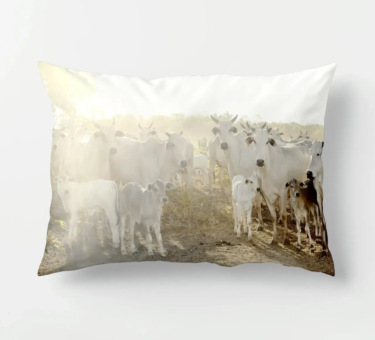 Mucche bianche in fattoria cuscino da KISSA STUDIO