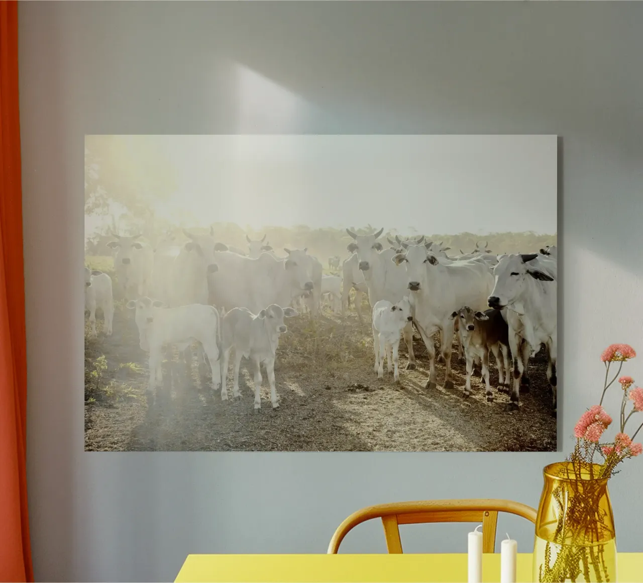 Mucche bianche in fattoria plexiglass da KISSA STUDIO