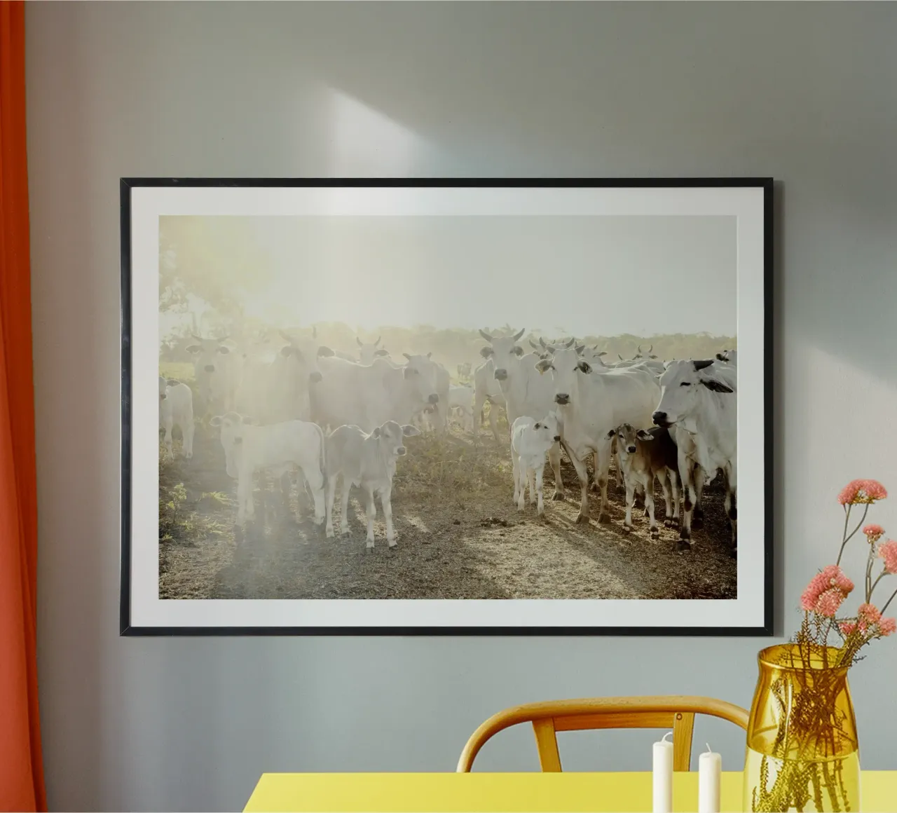 Mucche bianche in fattoria carta hahnemühle da KISSA STUDIO