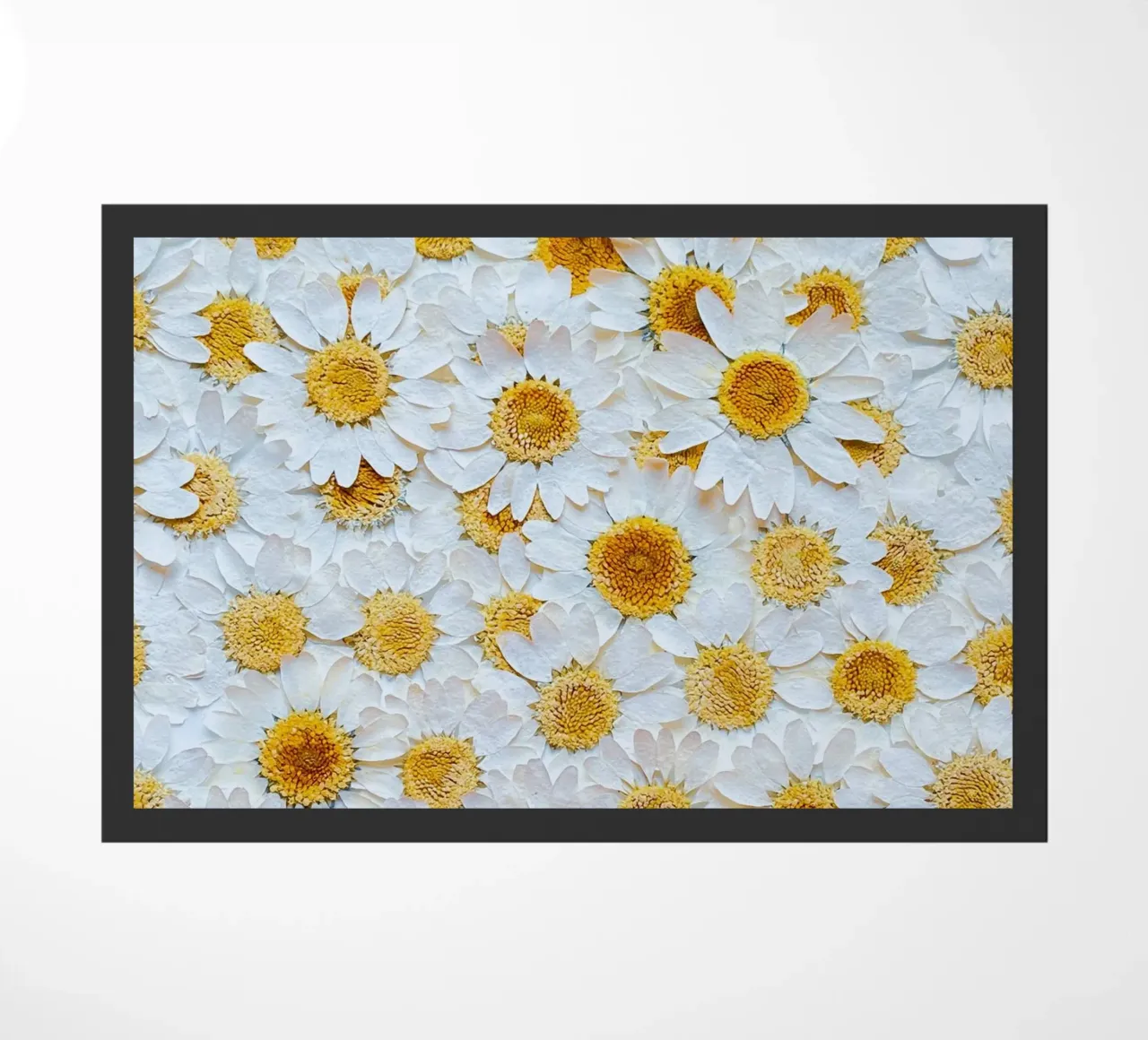 margherite fiori zerbino da Earthly Visions