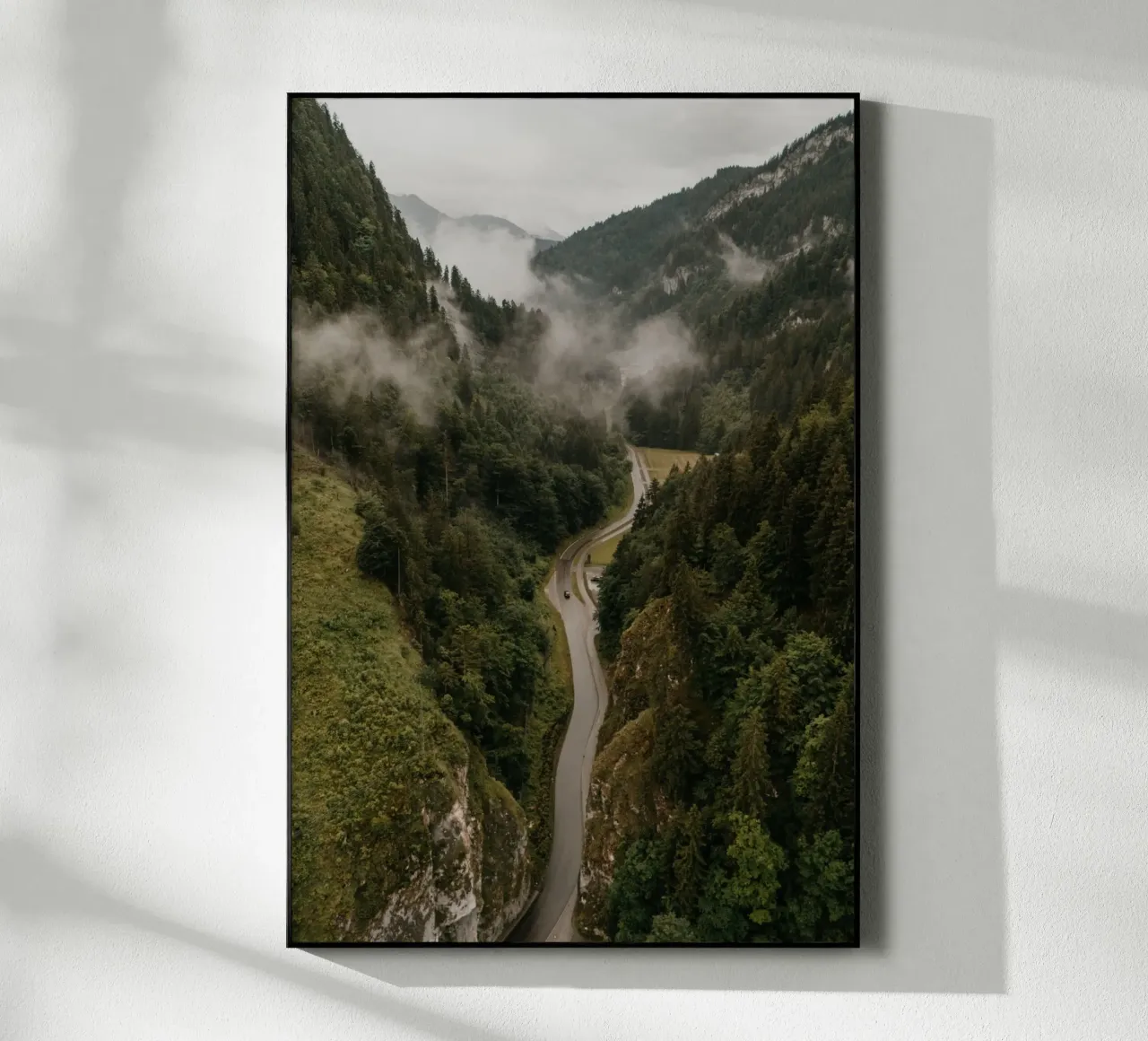 Forest Pulse plexiglass da Lena Stamm