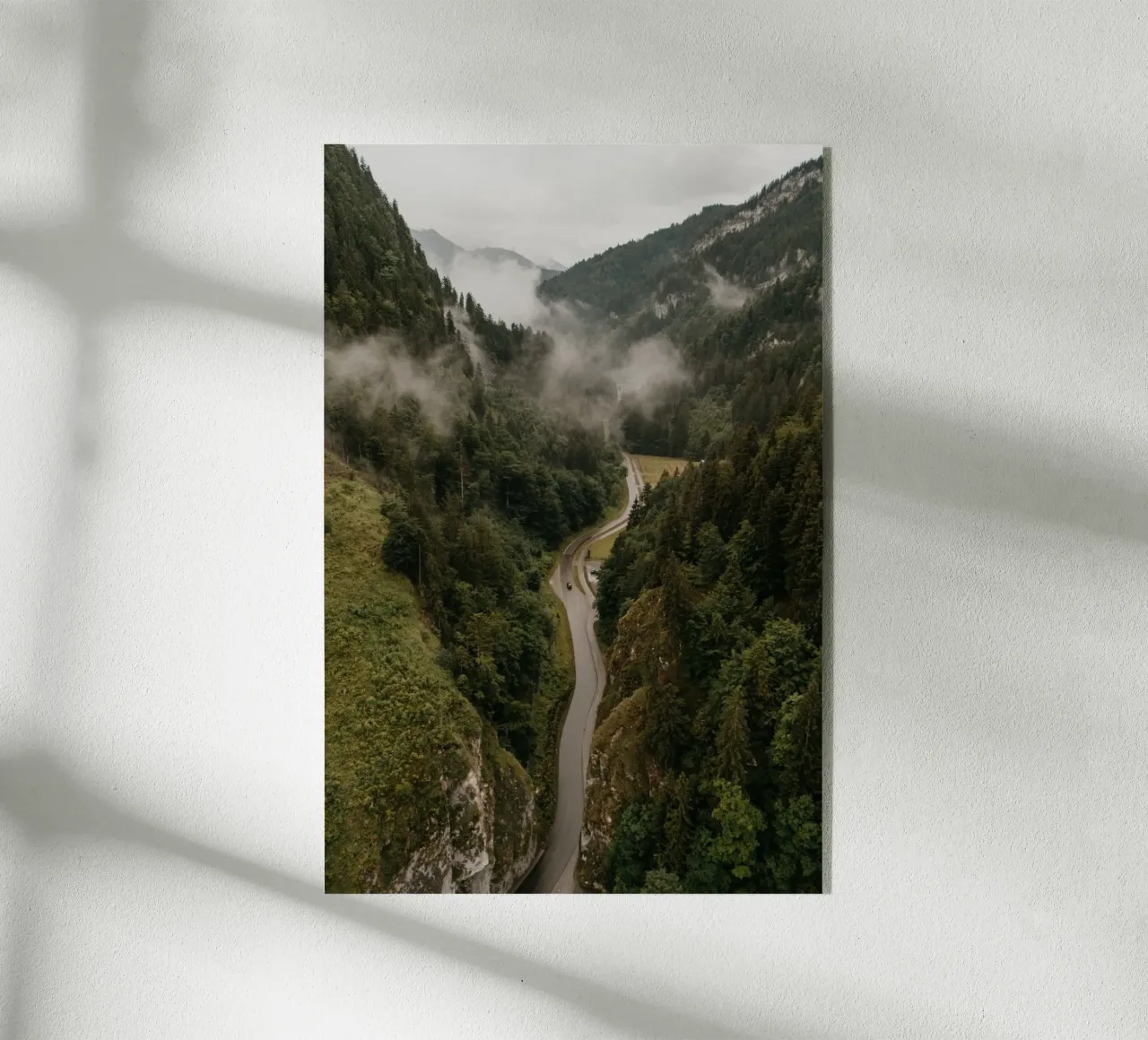 Forest Pulse plexiglass da Lena Stamm