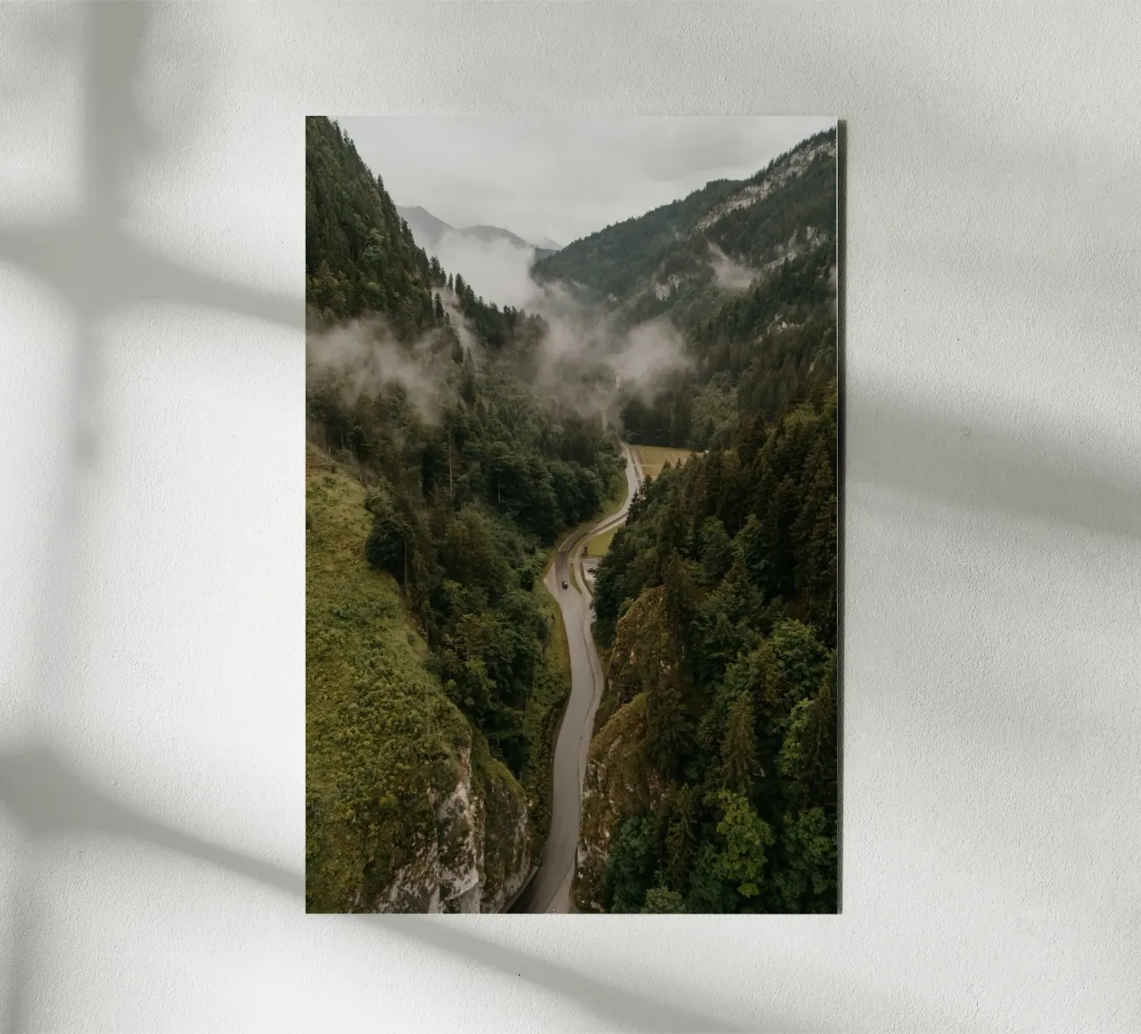 Forest Pulse alluminio dibond da Lena Stamm