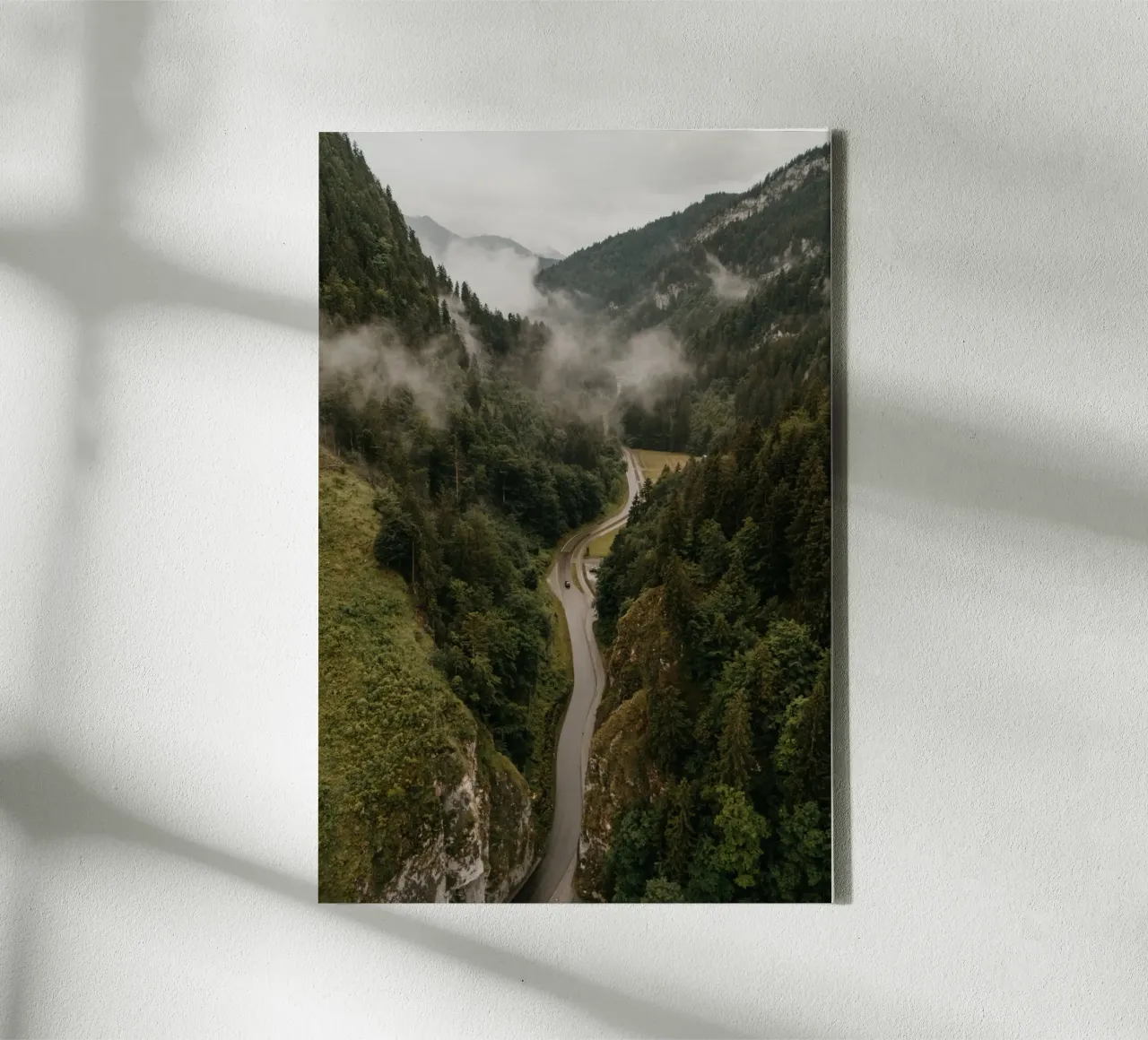 Forest Pulse tela con Cornice a cassetta da Lena Stamm