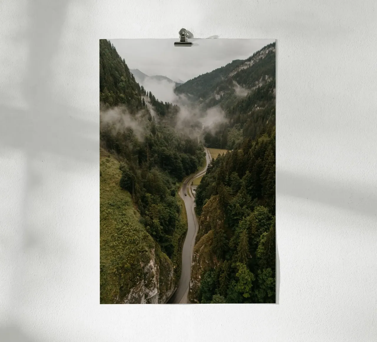 Forest Pulse poster da Lena Stamm