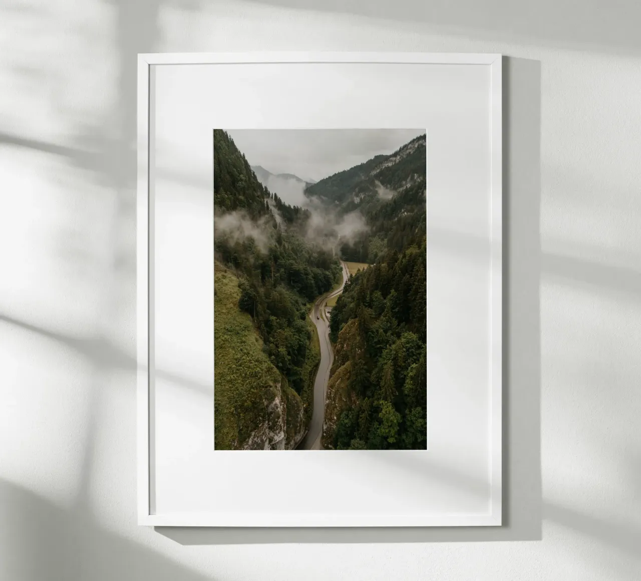 Forest Pulse poster da Lena Stamm