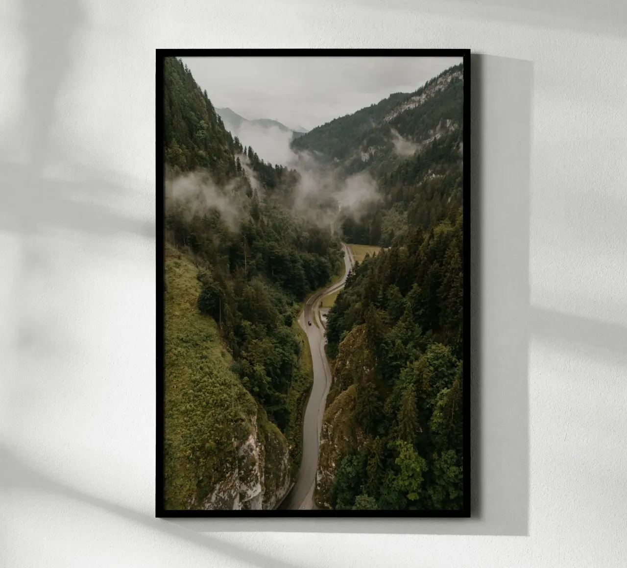 Forest Pulse poster da Lena Stamm