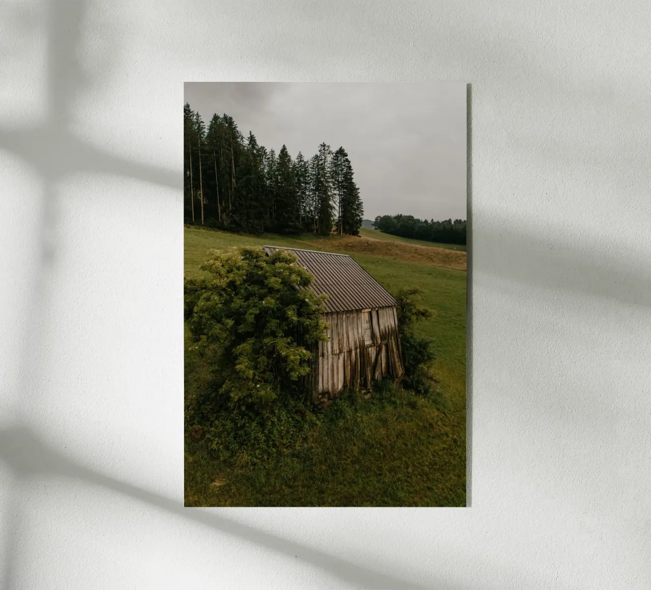 Quiet Dwelling plexiglass da Lena Stamm