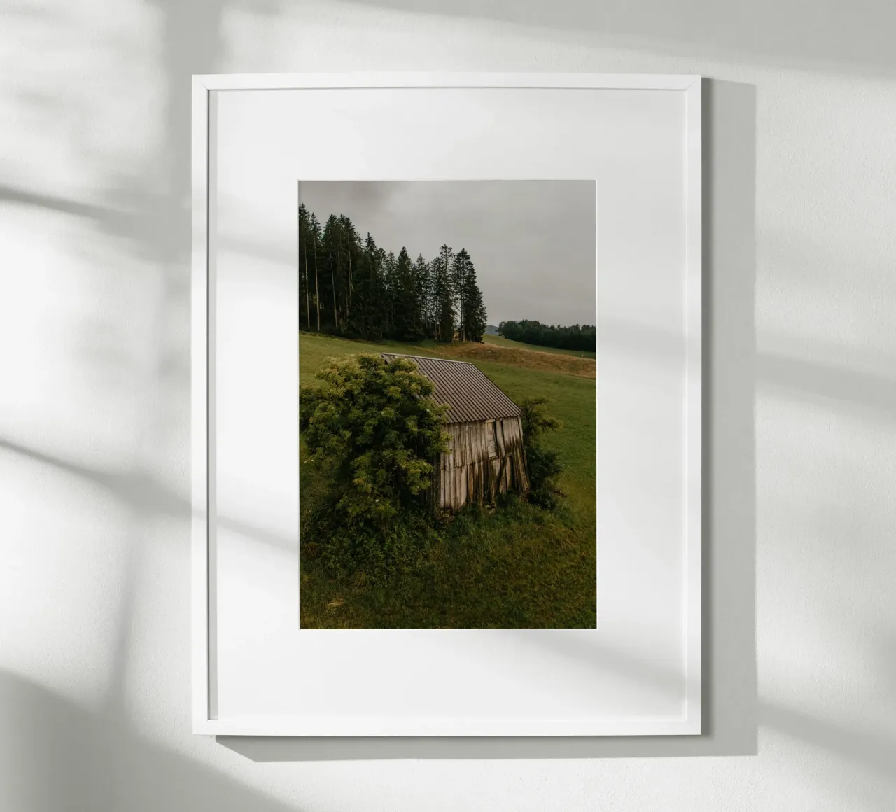 Quiet Dwelling carta hahnemühle da Lena Stamm