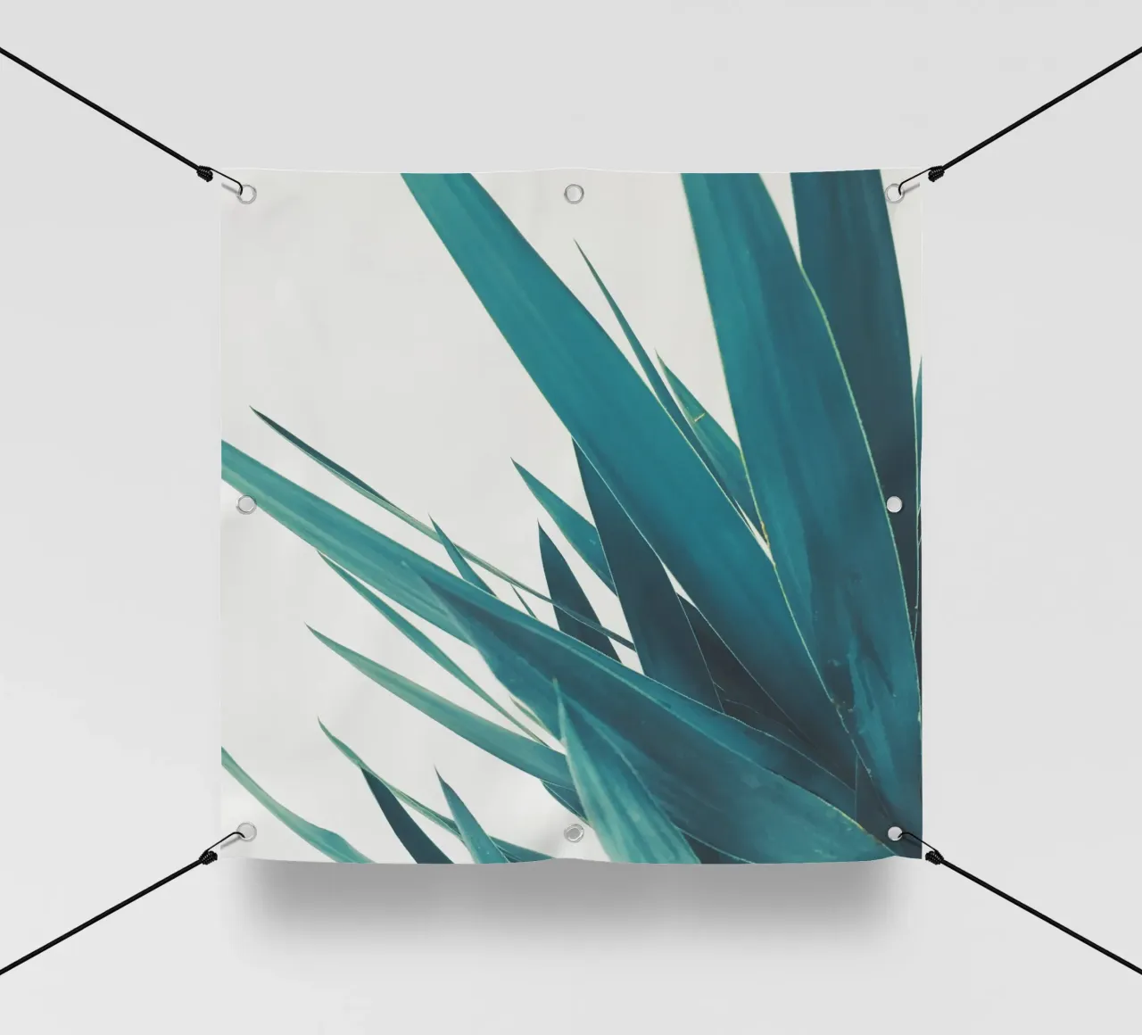 Foglie di yucca II telo in pvc da Cassia Beck Photography