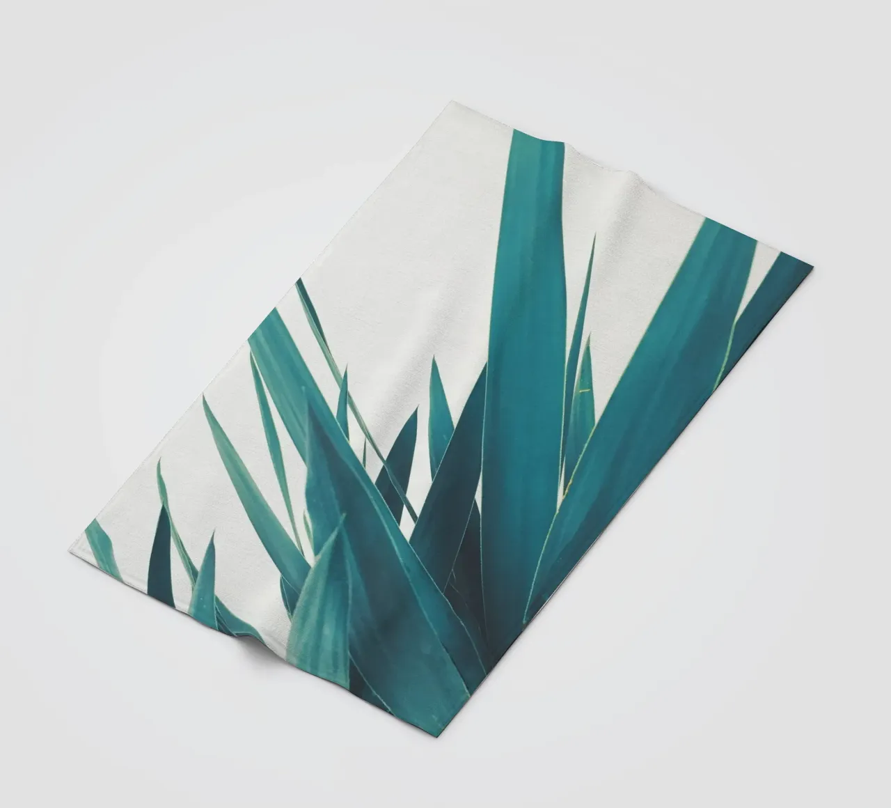 Foglie di yucca II coperta in pile da Cassia Beck Photography