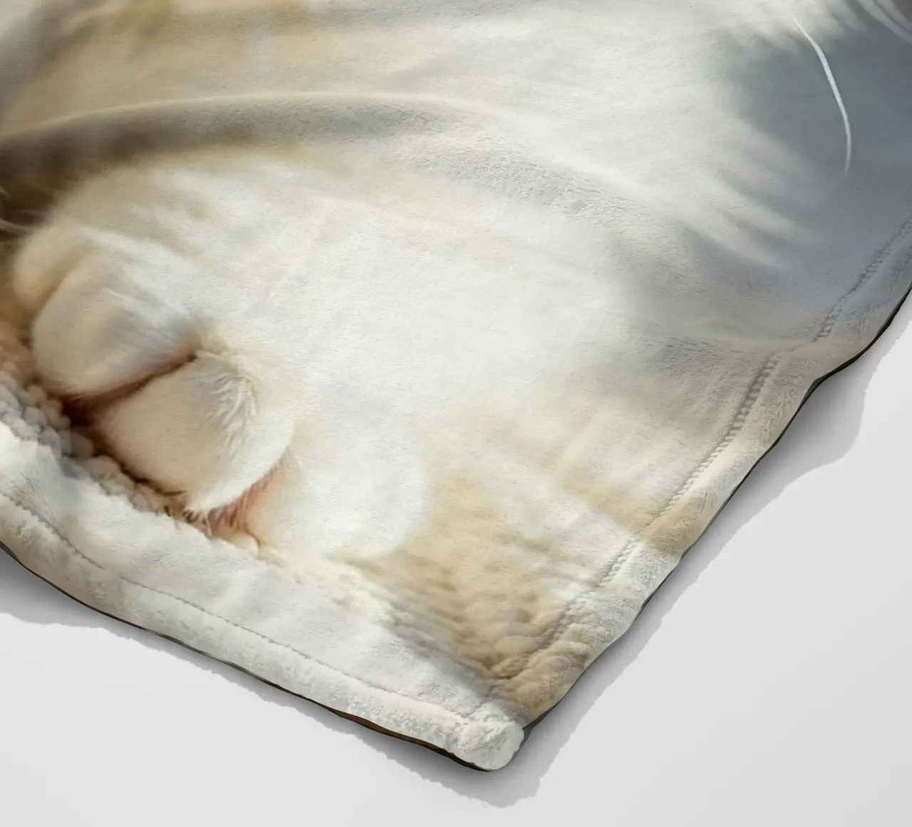 Gatto bianco coperta in pile da brockcon Shop