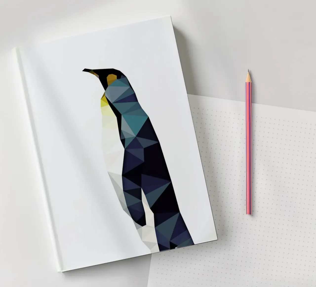 Aptenodytes patagonicus notebook by Matěj Kašpar Jirásek