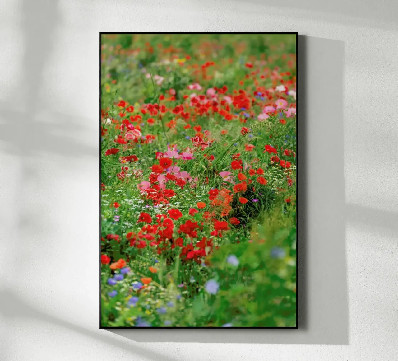 Poppyfield plexiglass da Curious Collections by Marielle Leenders