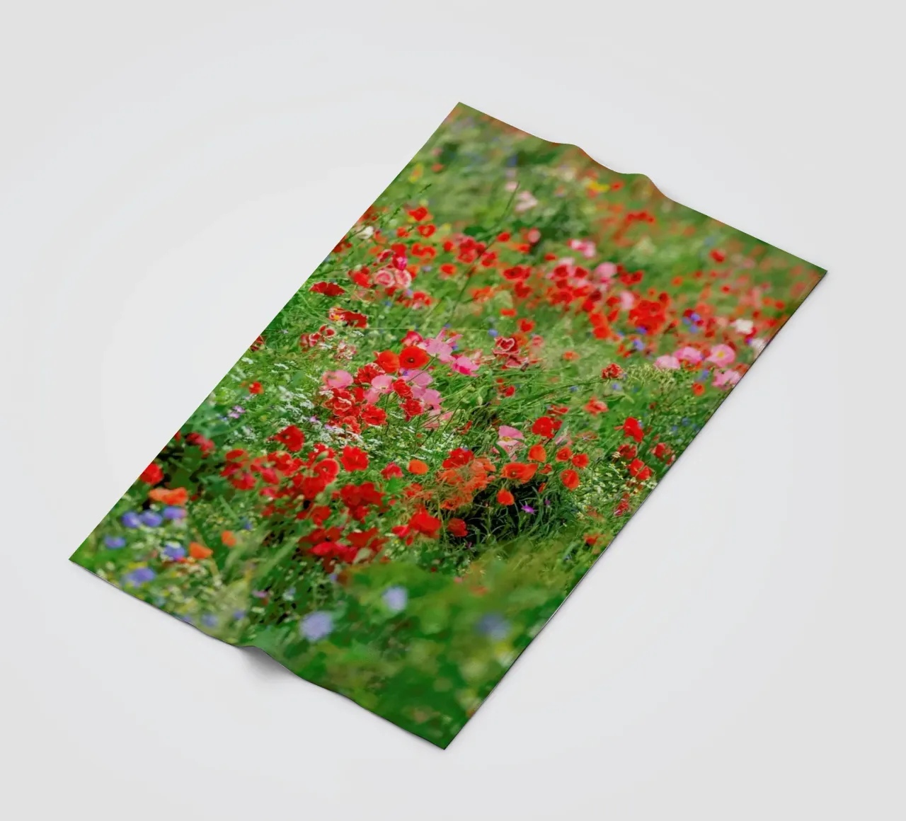 Poppyfield fleece blanket by Curious Collections by Marielle Leenders