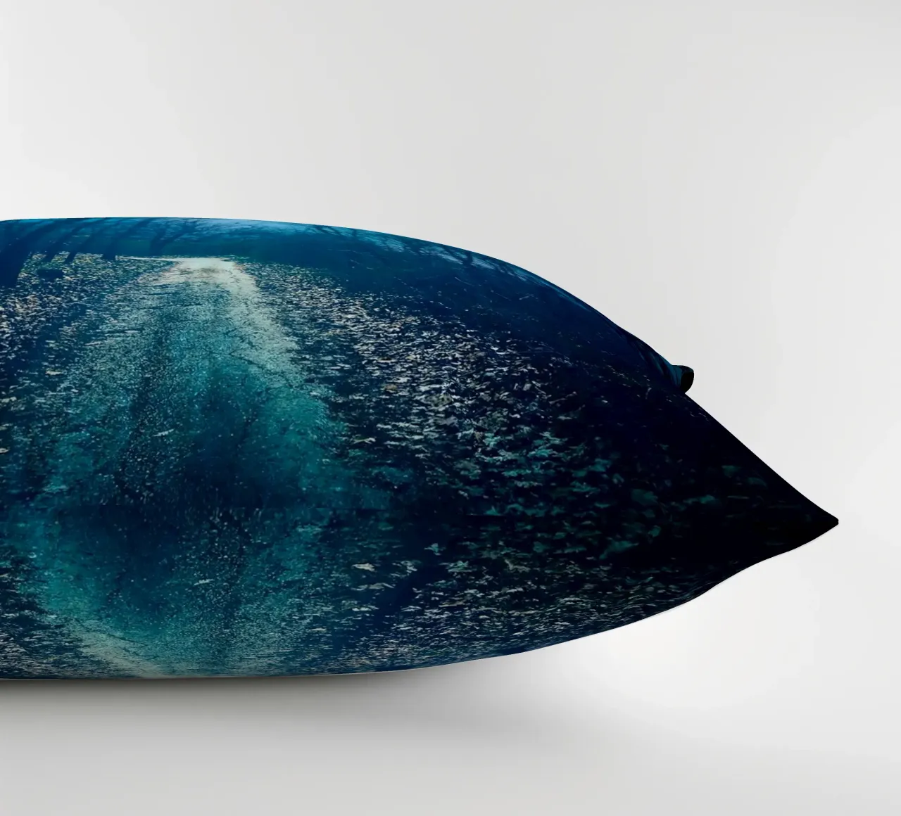 clair de lune dans la forêt coussin de space words