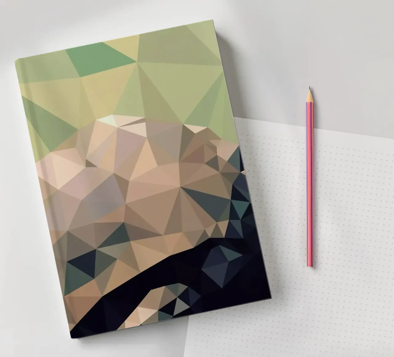 Geochelone nigra notebook by Matěj Kašpar Jirásek
