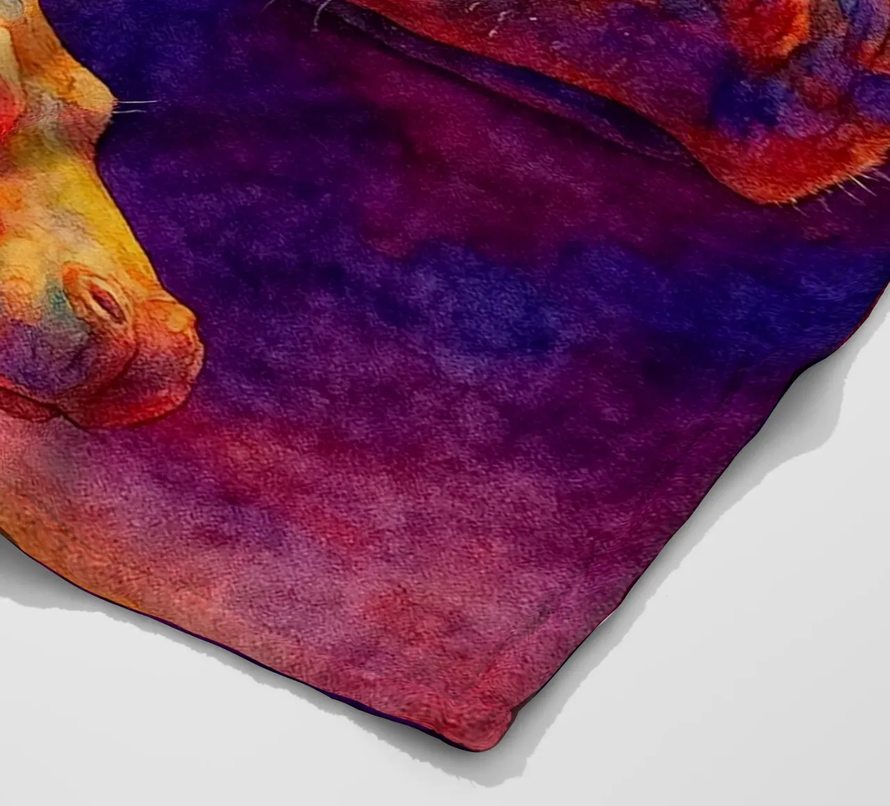 ippopotamo e il suo cubo pittura colorata coperta in pile da toegoe