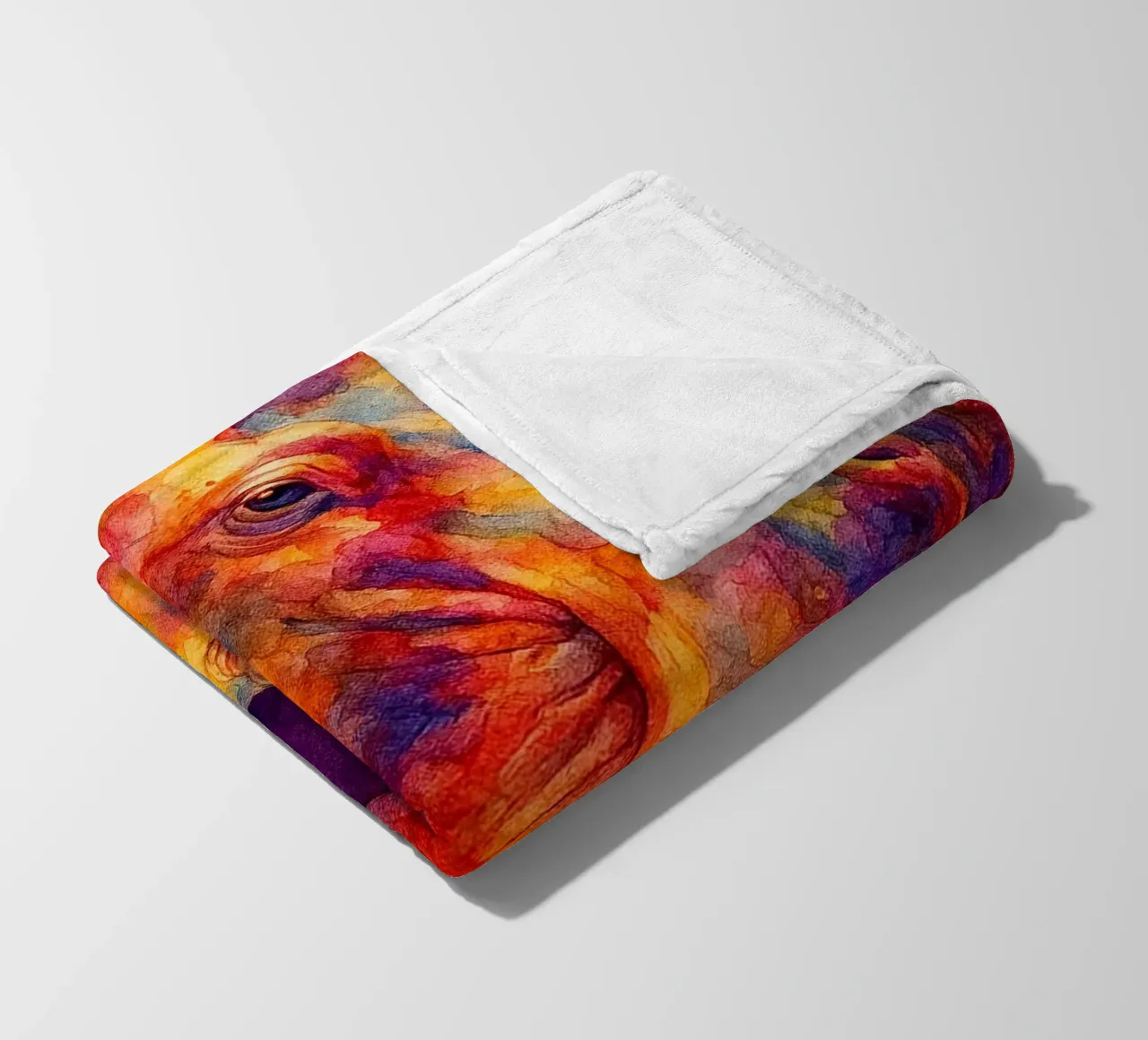 ippopotamo e il suo cubo pittura colorata coperta in pile da toegoe