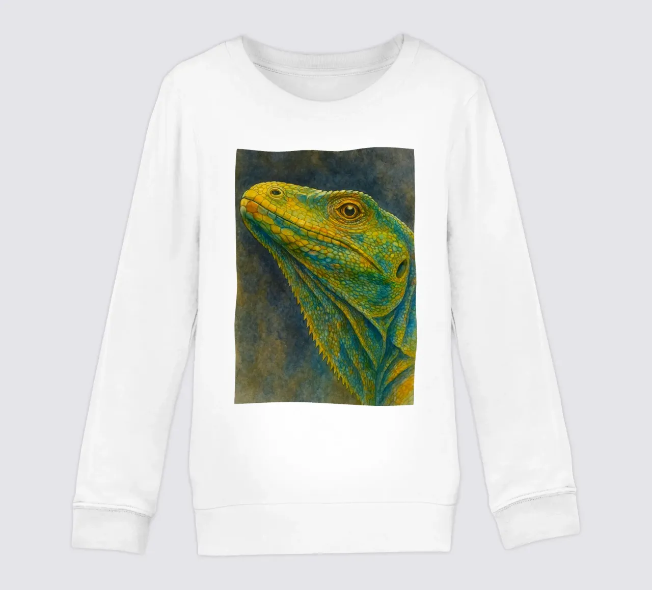 komodo colorfull pittura felpa bambino da toegoe