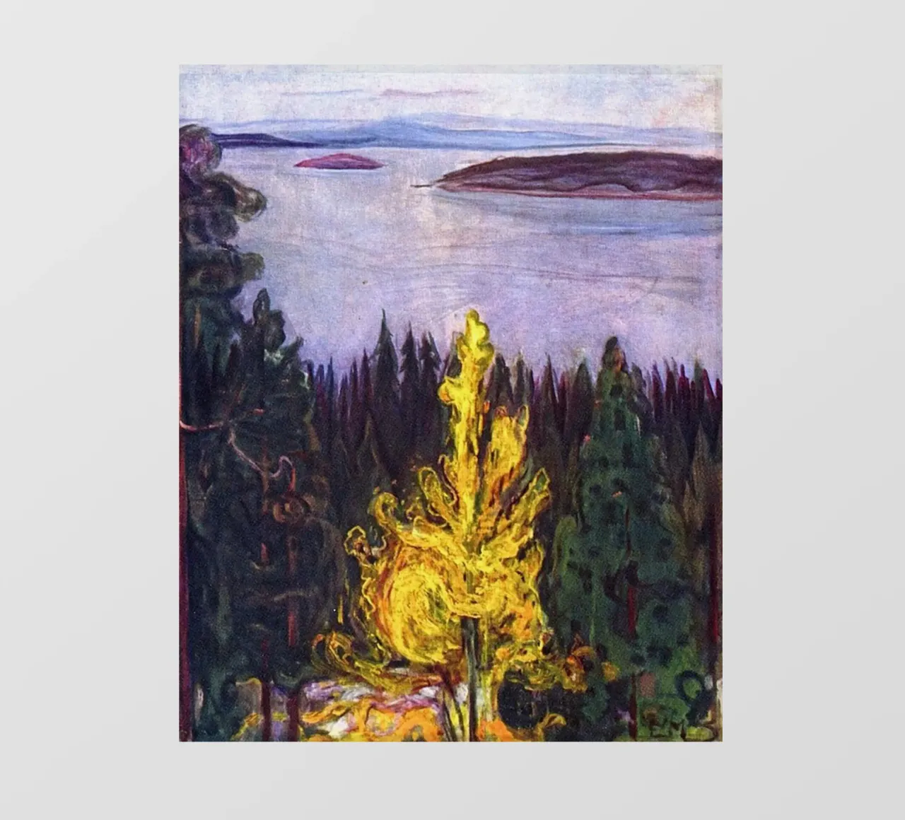 Edvard Munch - Il fuoco sulla collina telo in pvc da Rachel Gallery