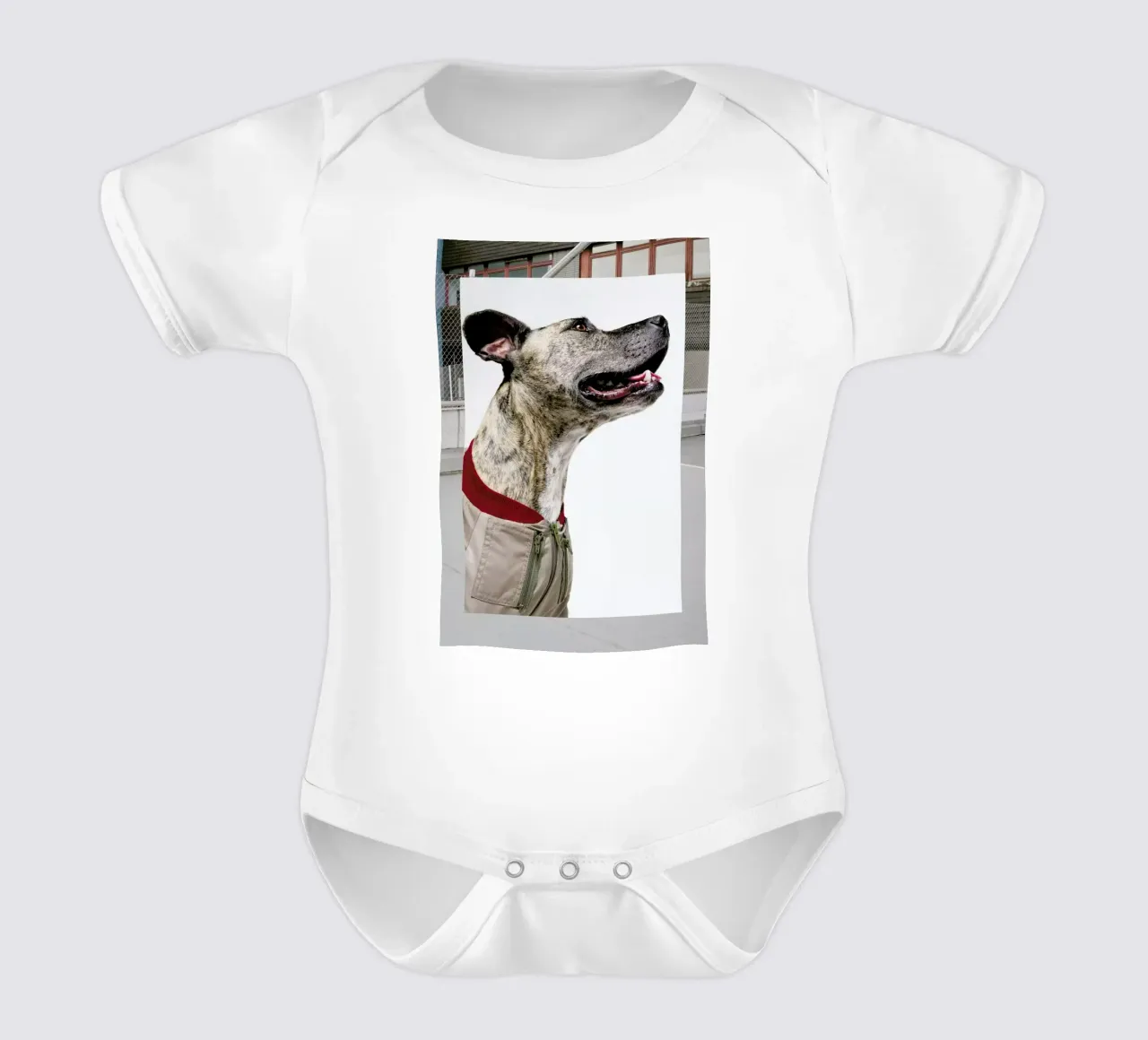 The Tailwaggers 1-3 body neonato maniche corte da Paul Aidan Perry