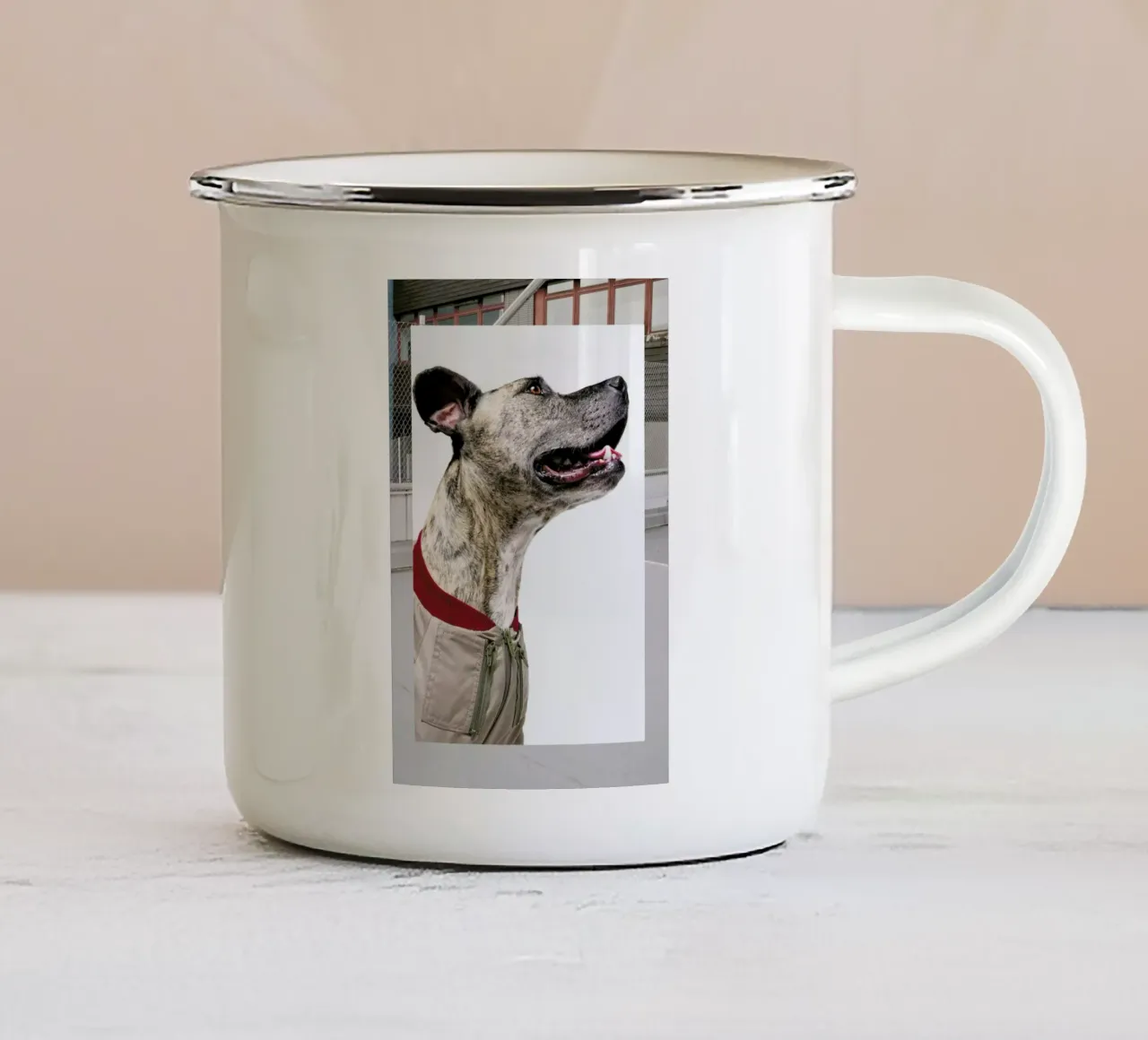 The Tailwaggers 1-3 tazza in smalto da Paul Aidan Perry