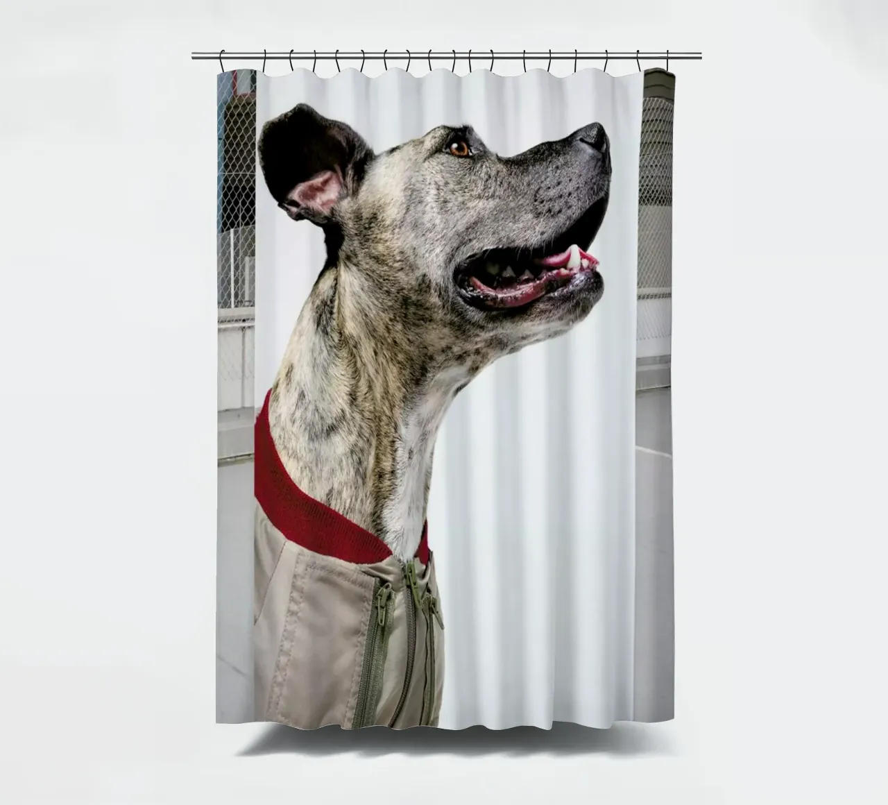 The Tailwaggers 1-3 tenda da doccia da Paul Aidan Perry