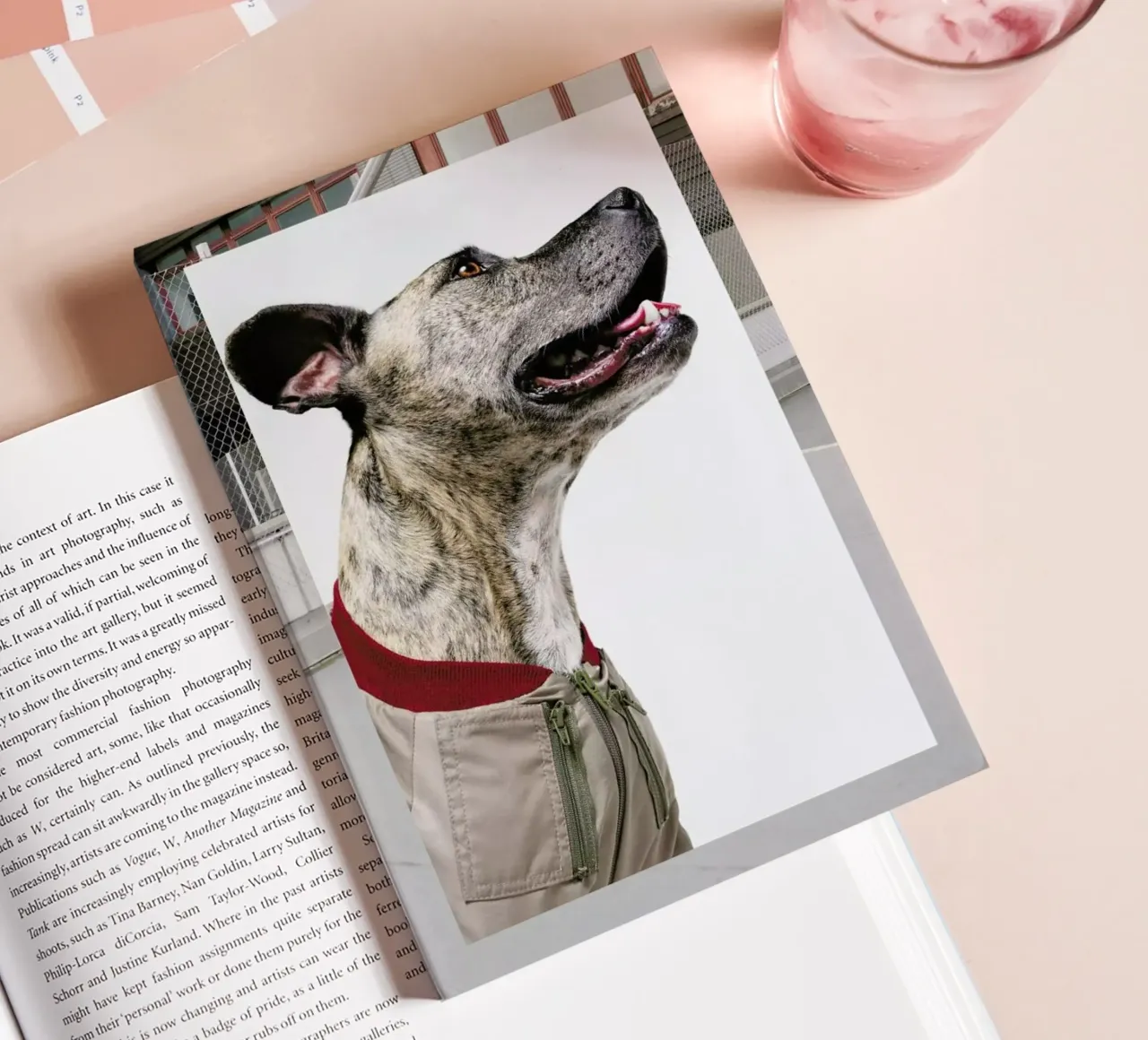 The Tailwaggers 1-3 notebook by Paul Aidan Perry