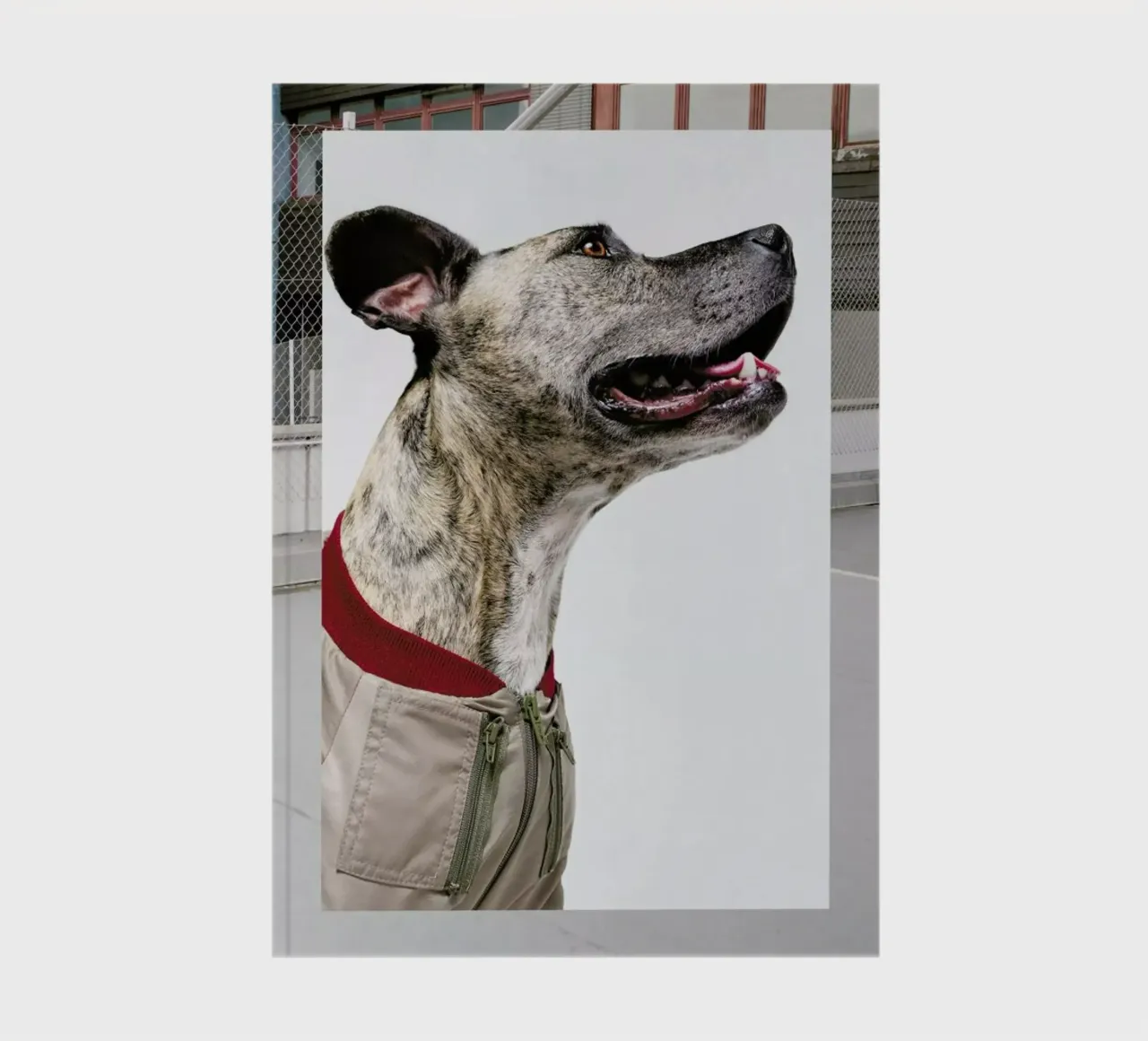The Tailwaggers 1-3 notebook by Paul Aidan Perry